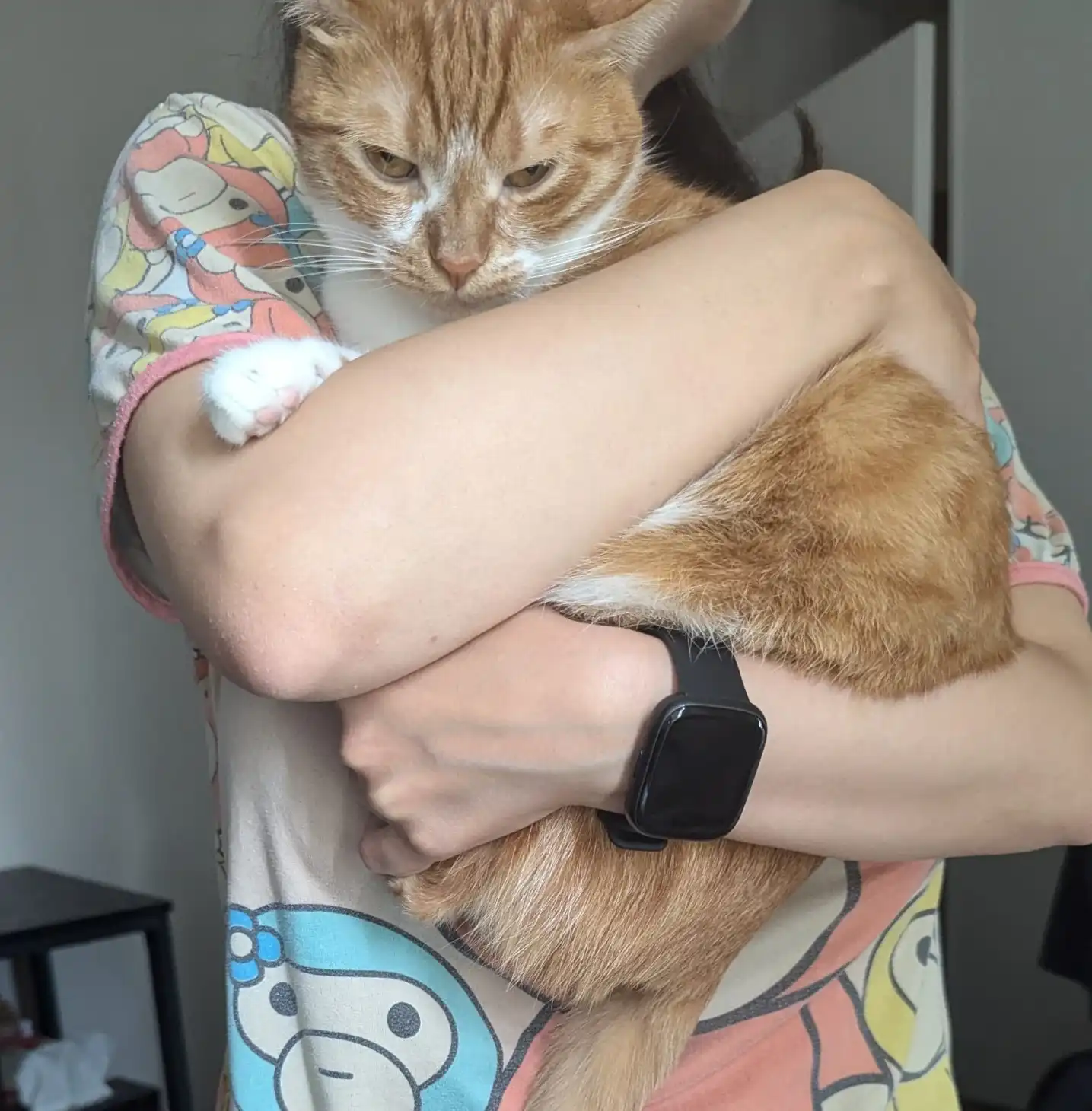 image-8
