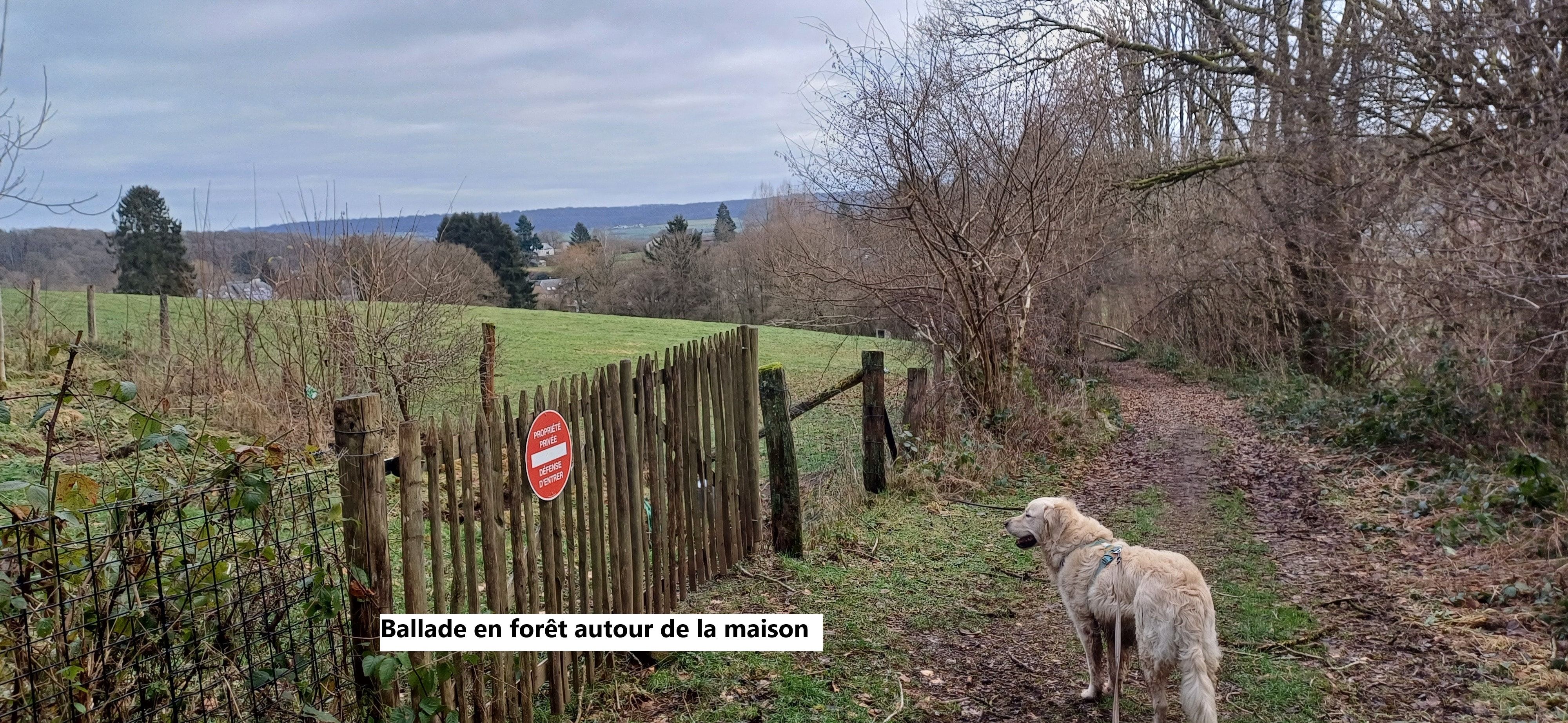 image-18