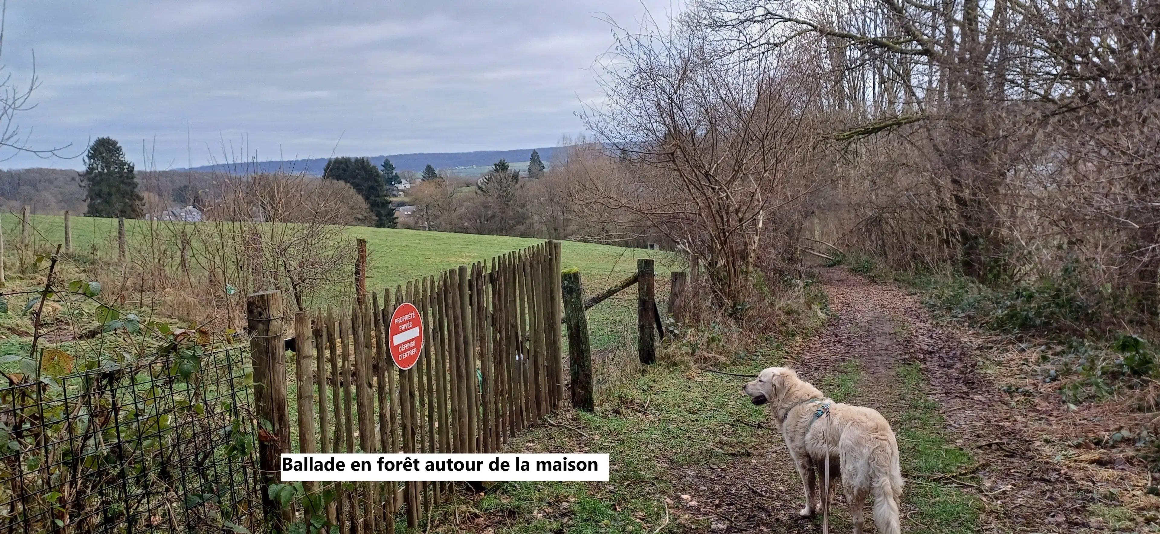 image-18