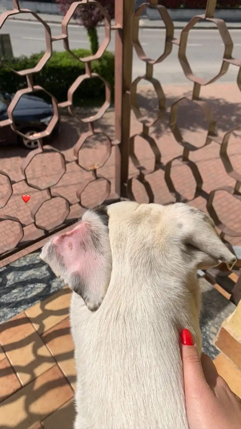 image-6