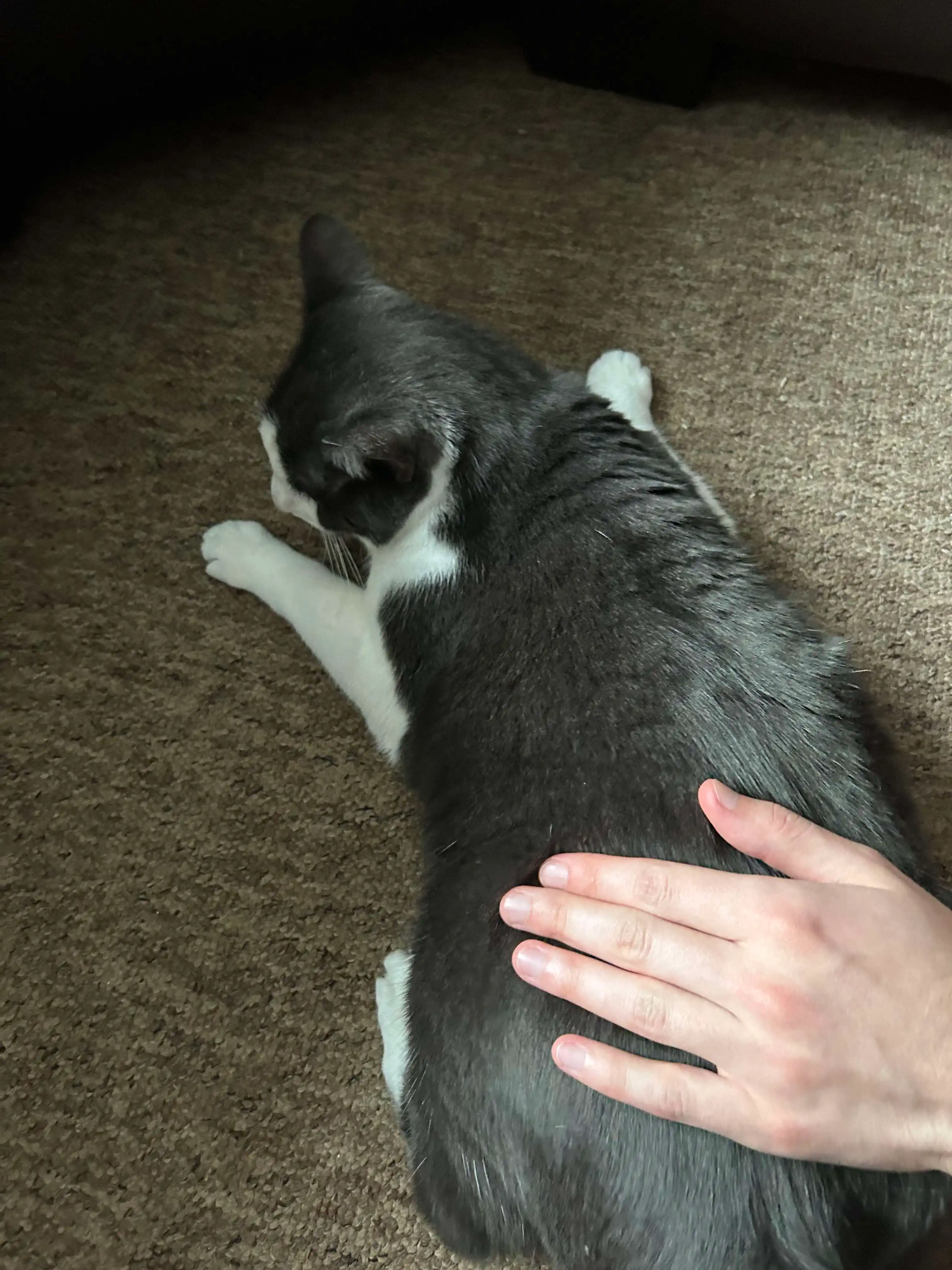 image-9