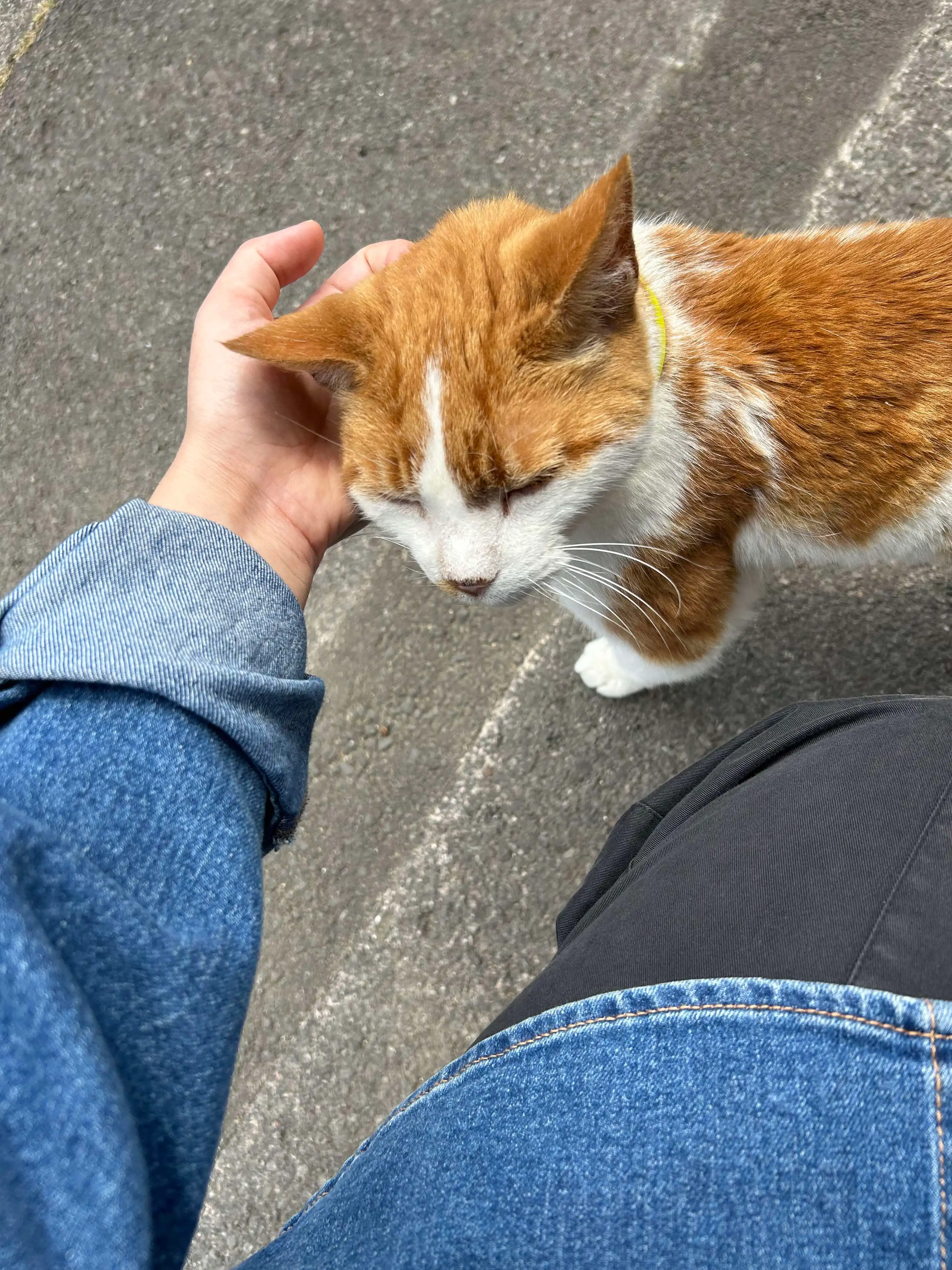 image-8