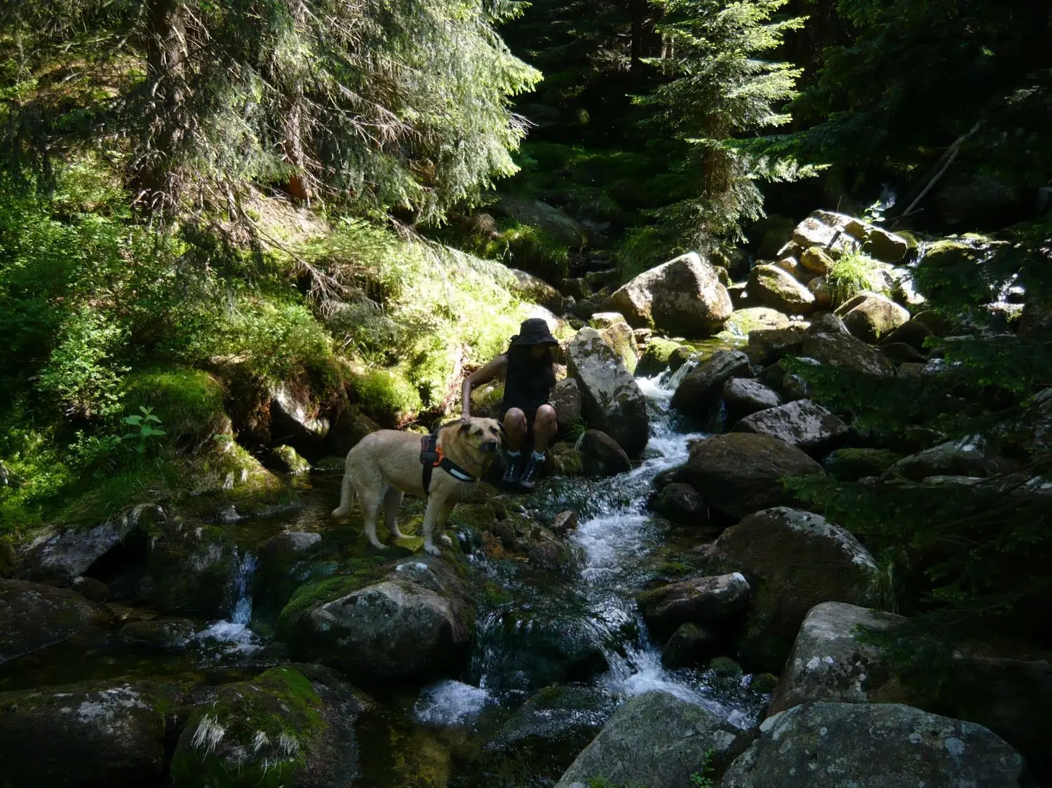 image-2