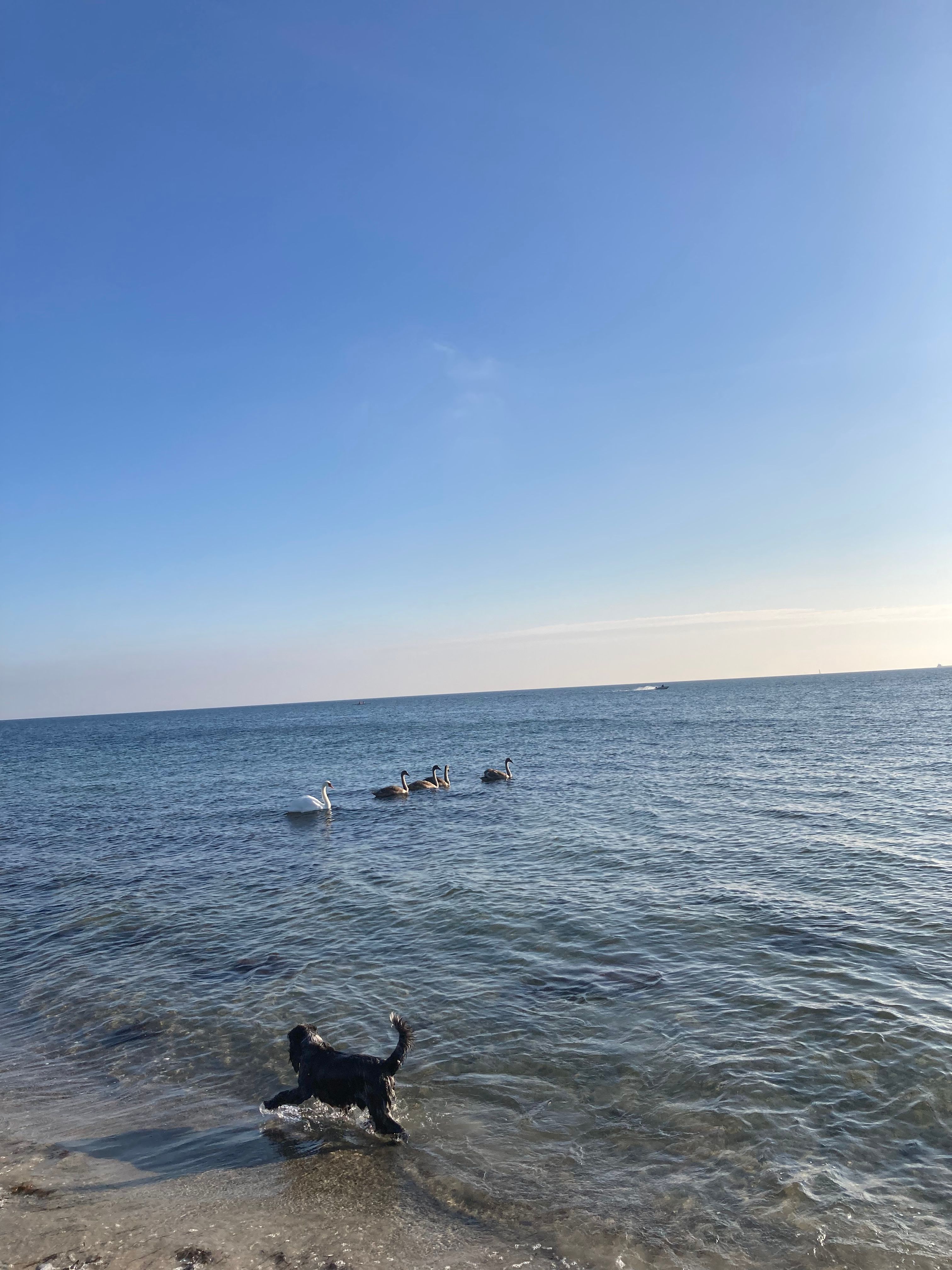 image-18
