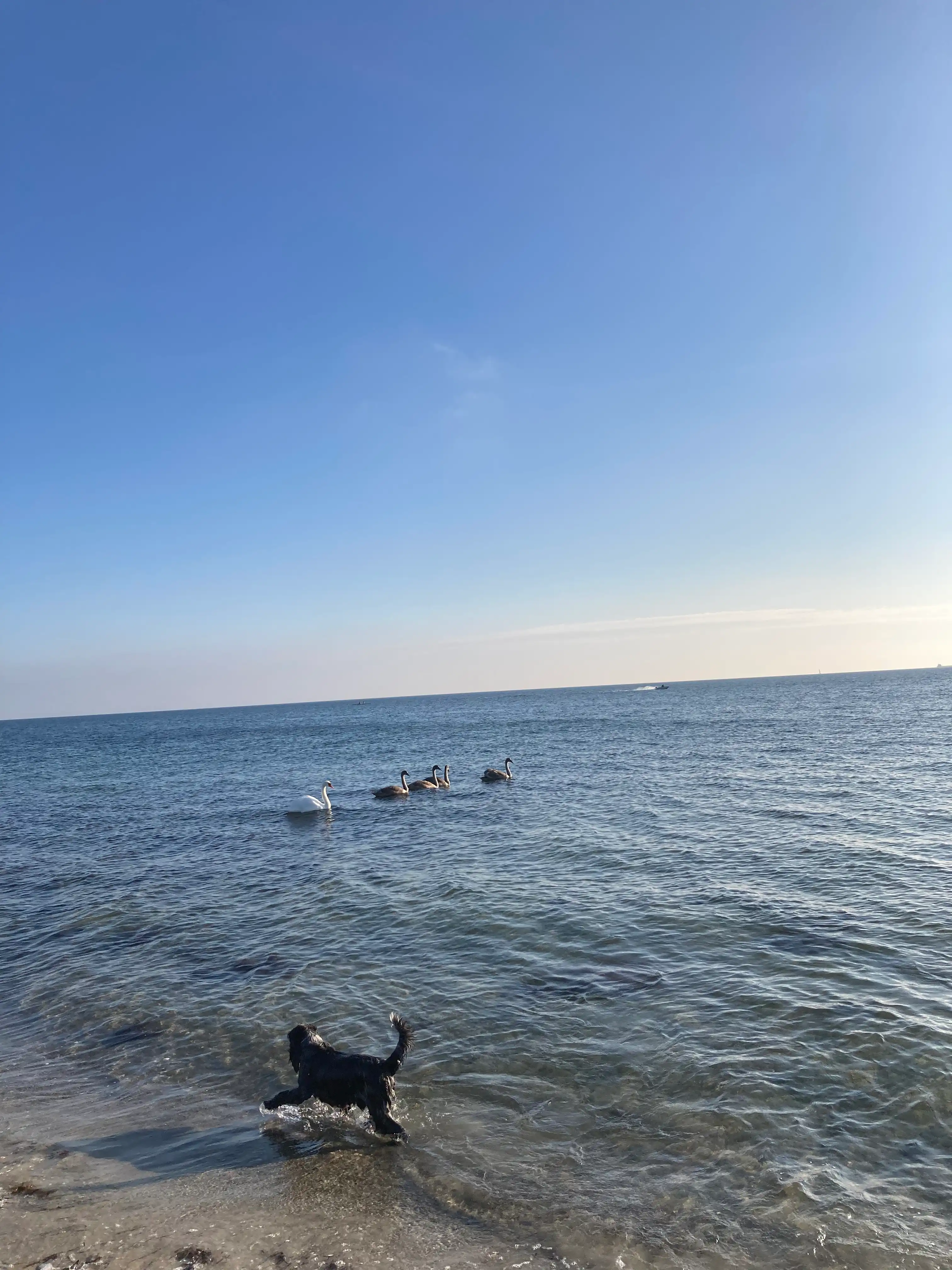 image-18