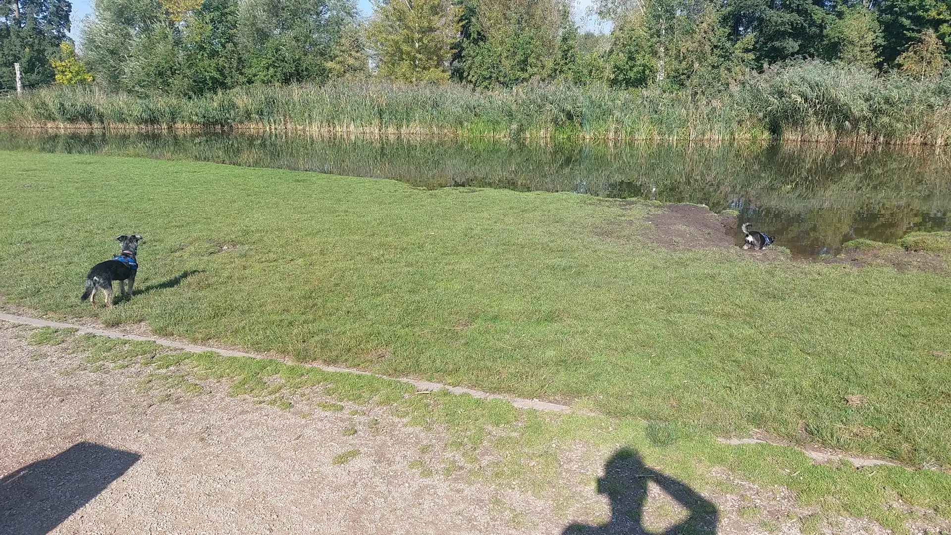 image-16