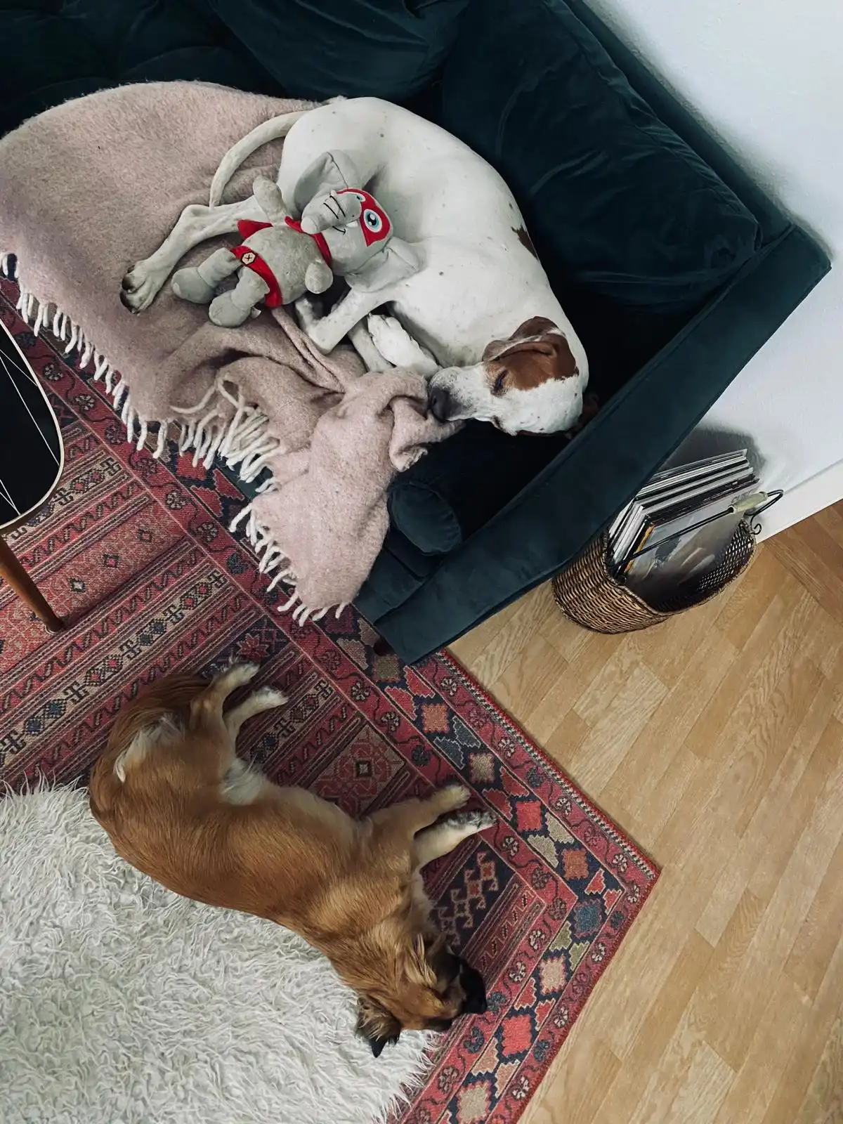 image-9
