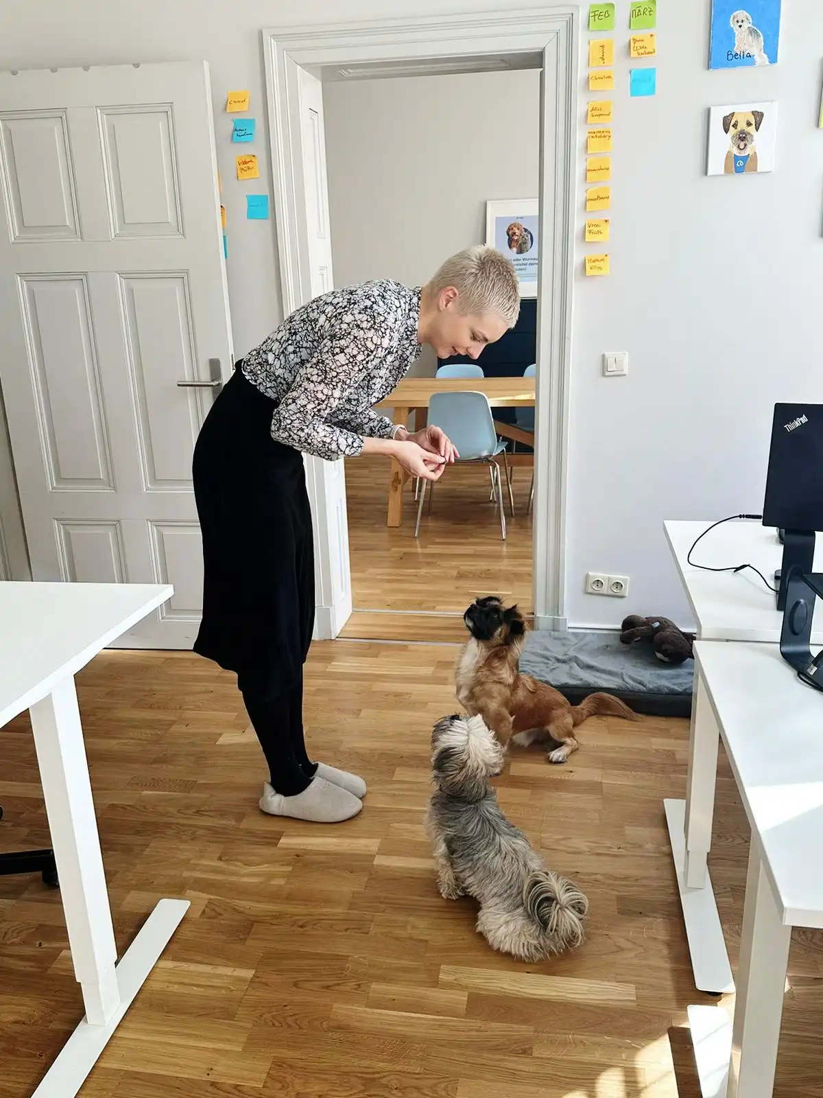 image-14