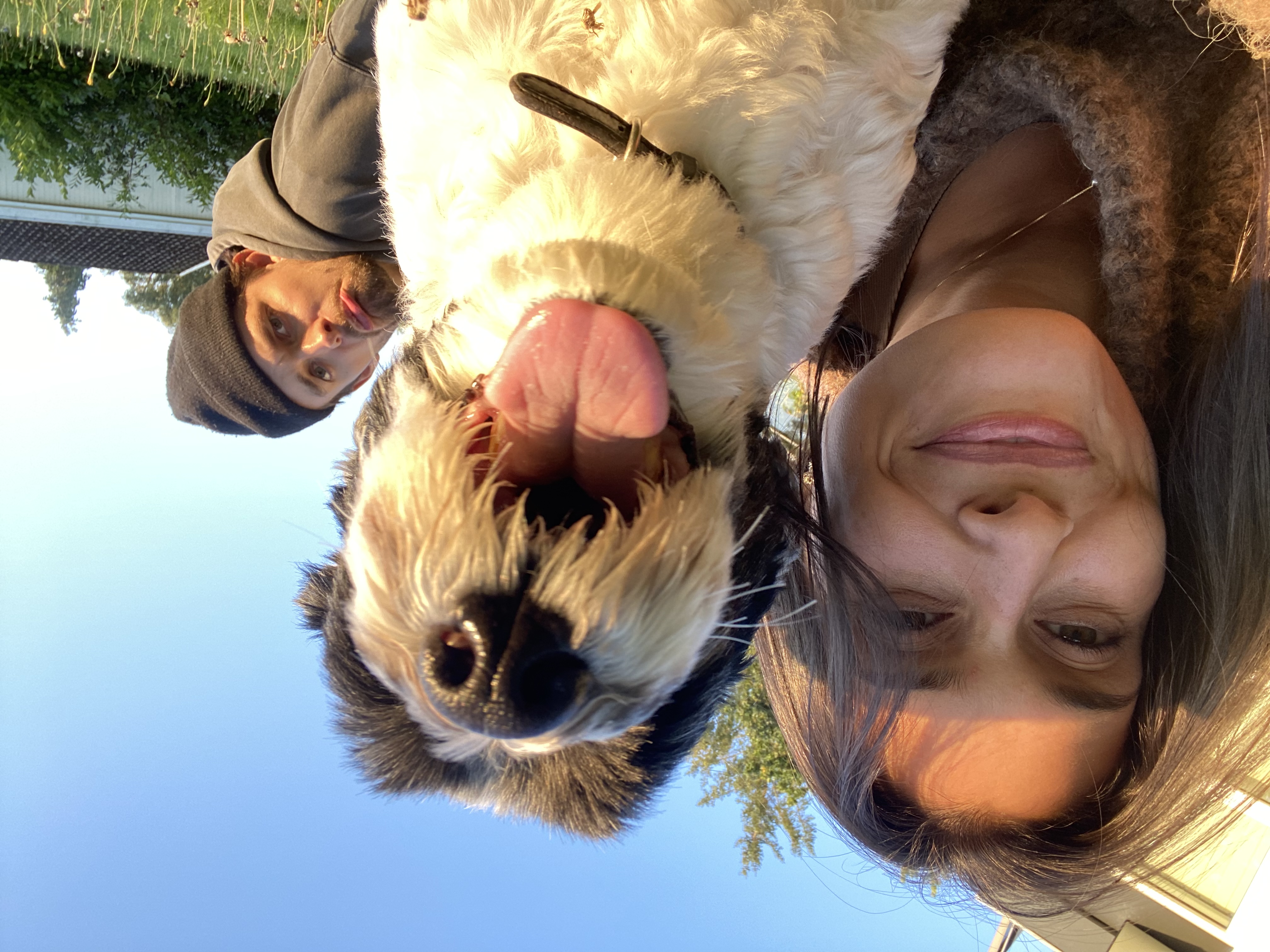 image-7