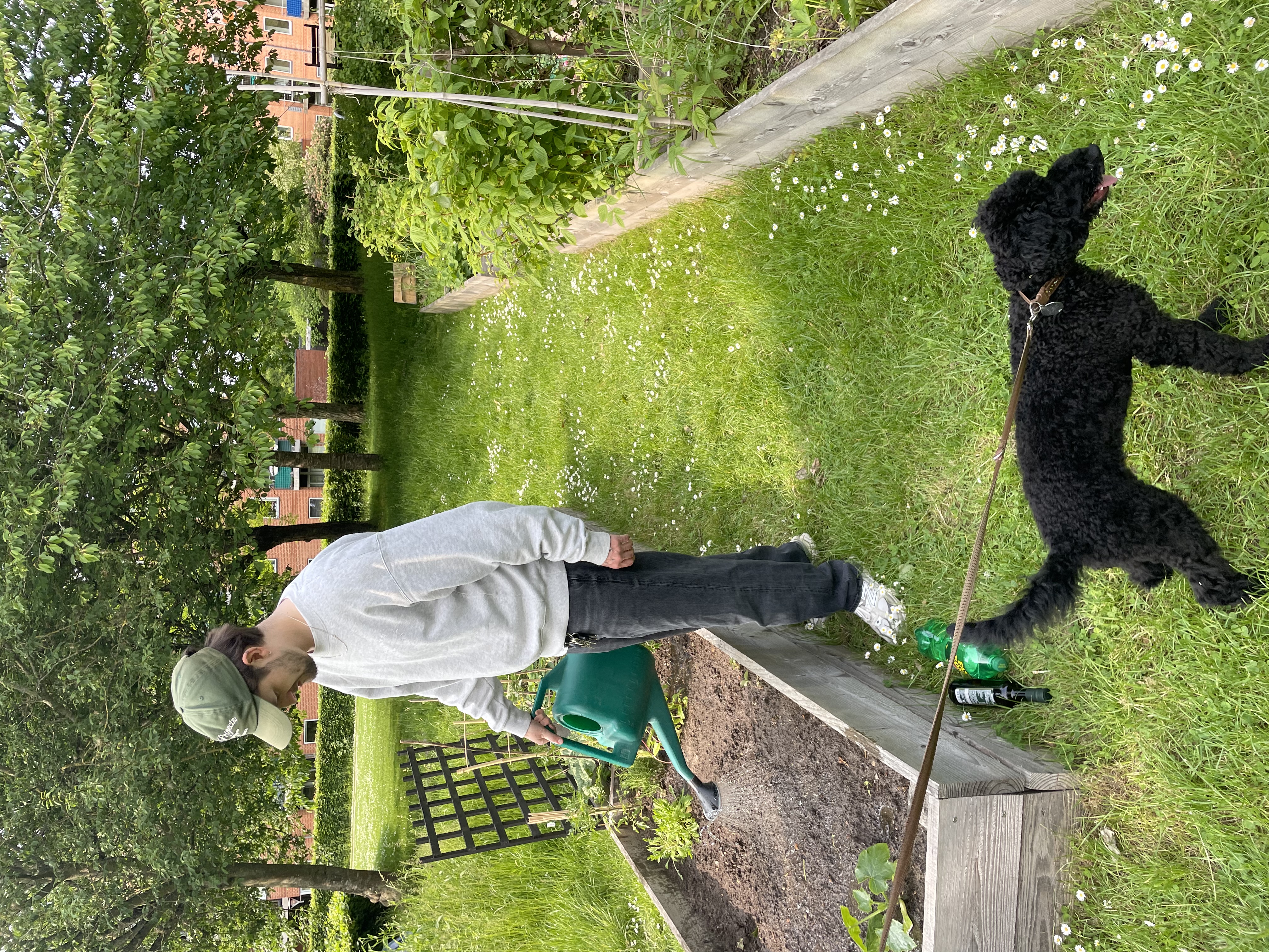 image-10