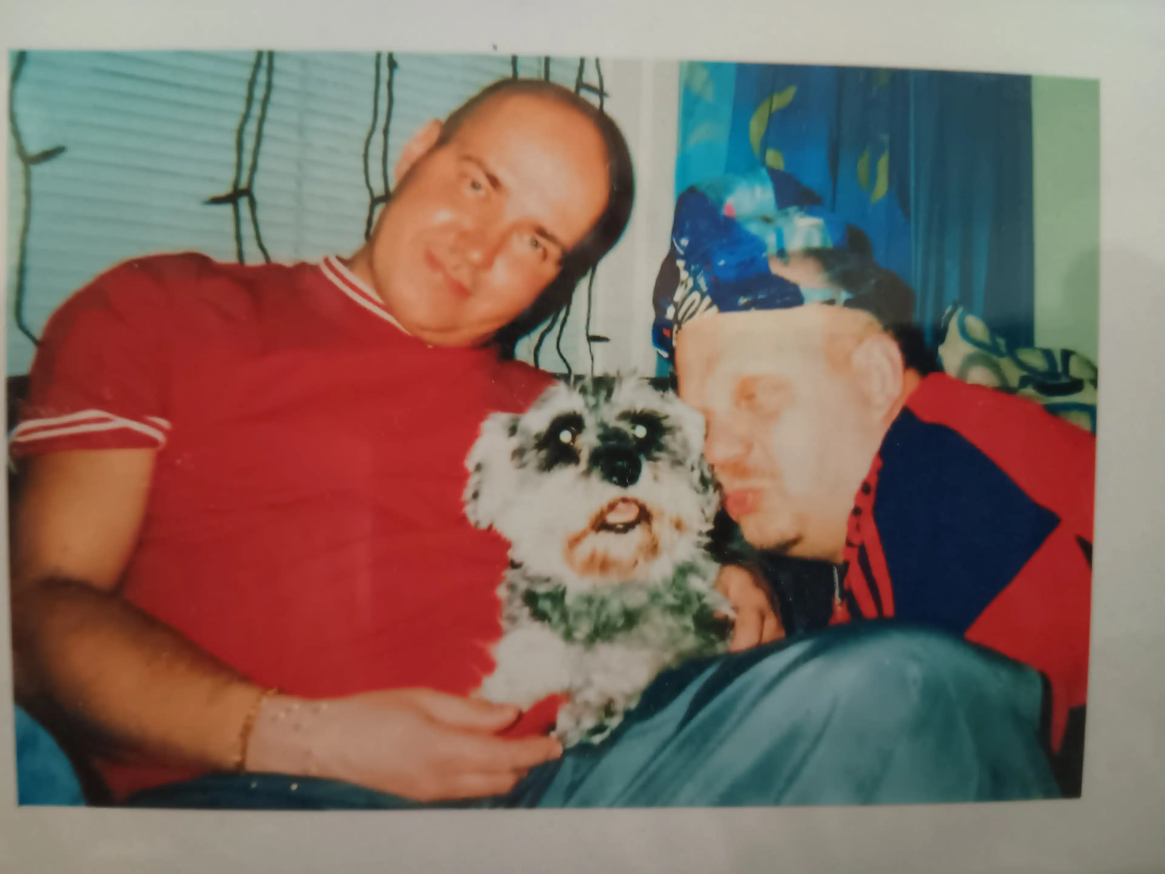 image-9
