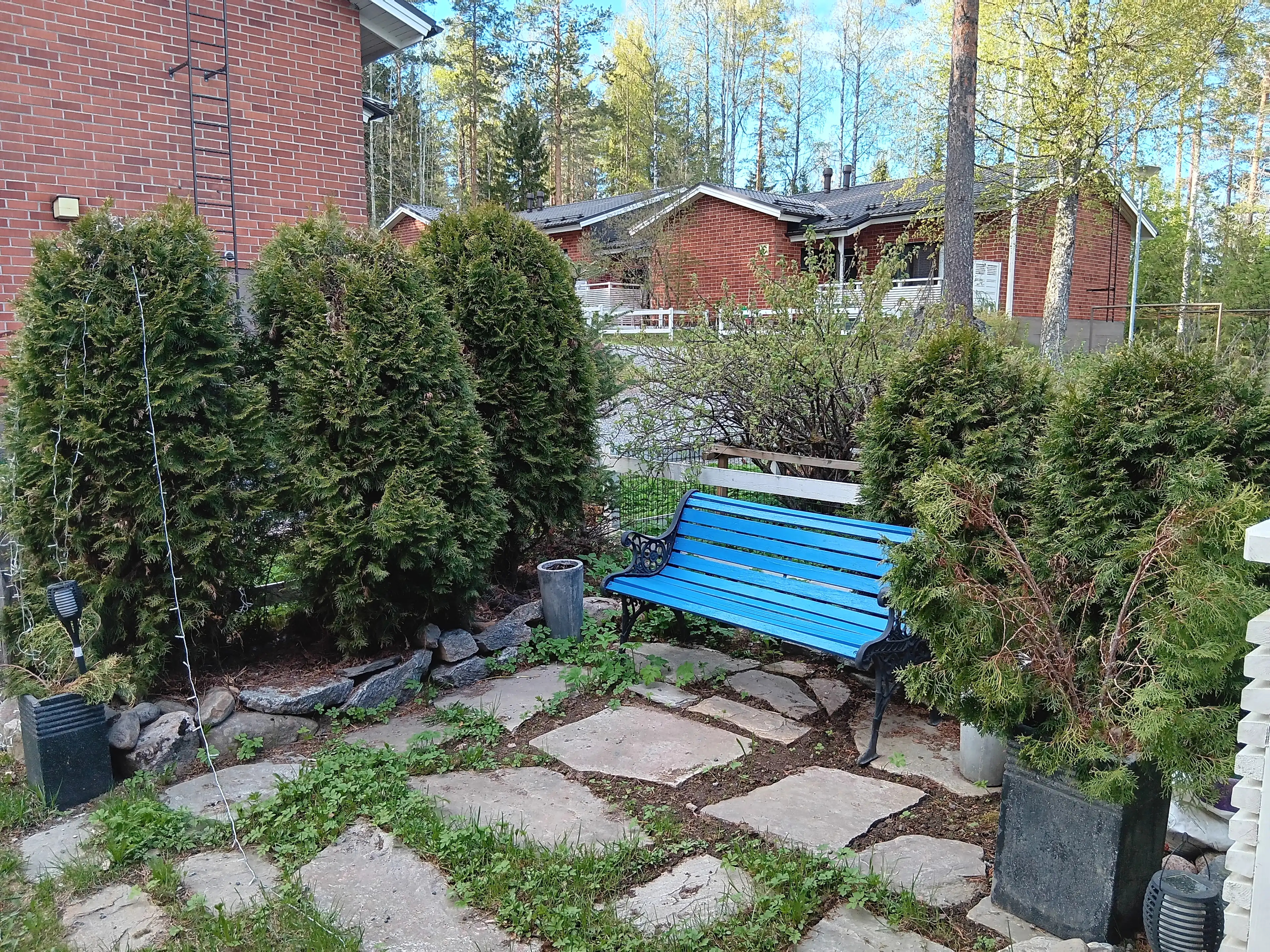 image-20