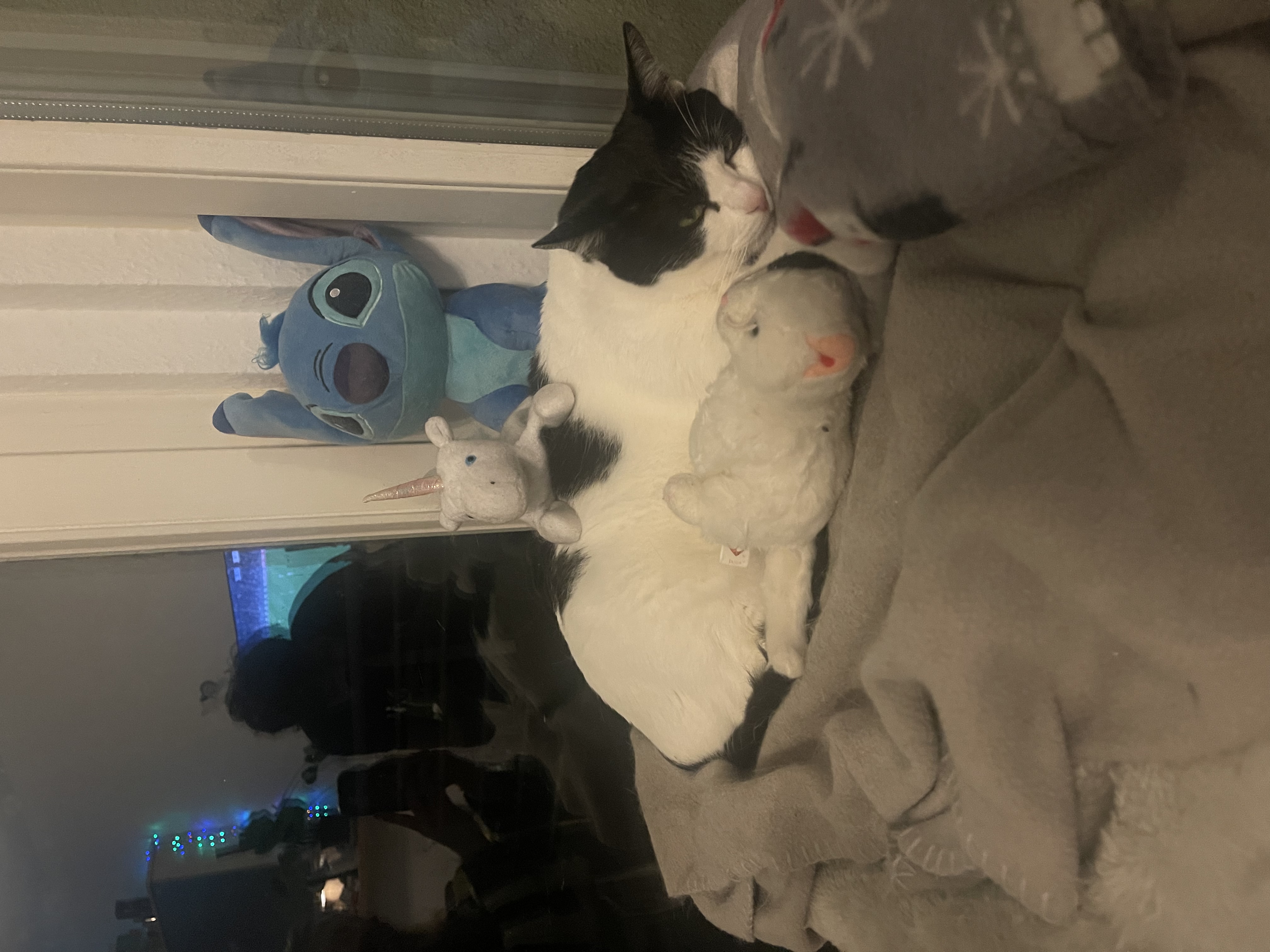 image-8