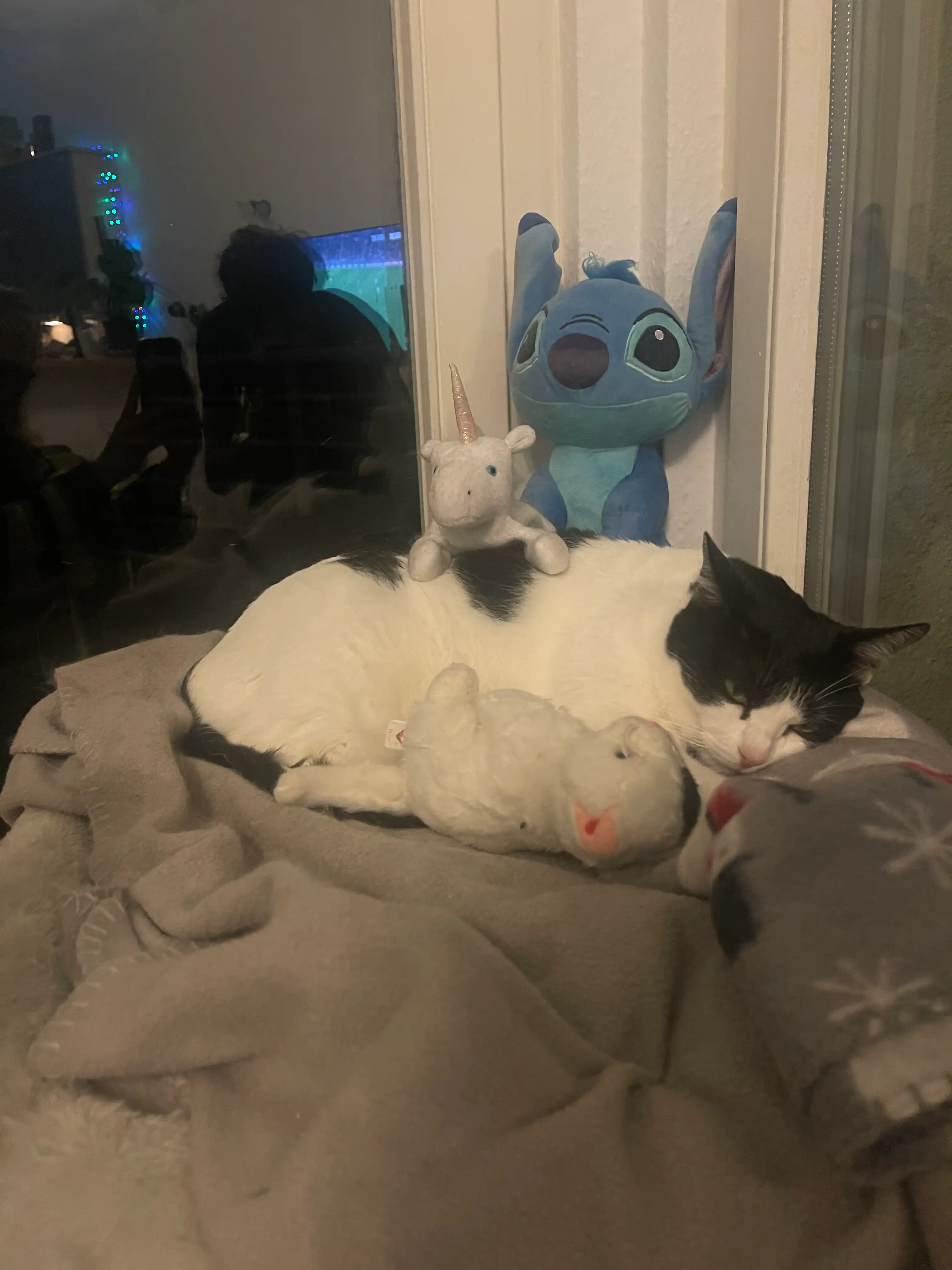 image-8