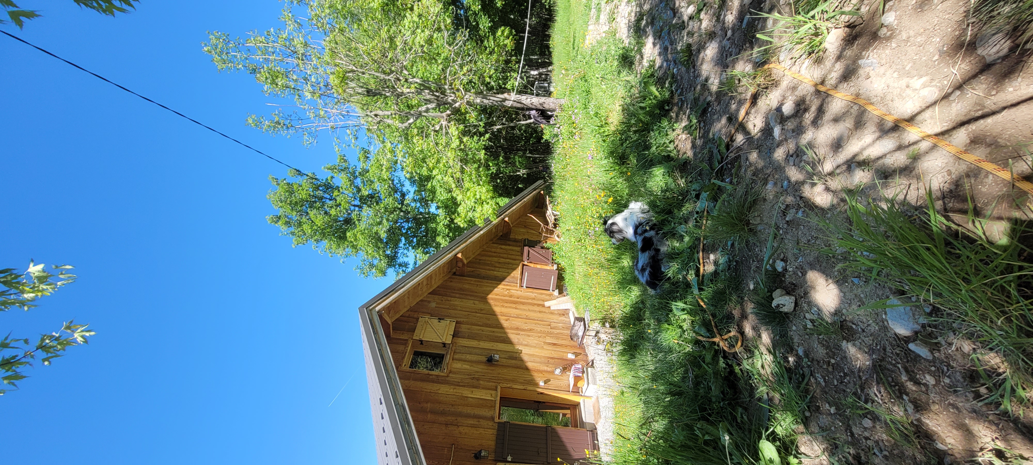 image-20