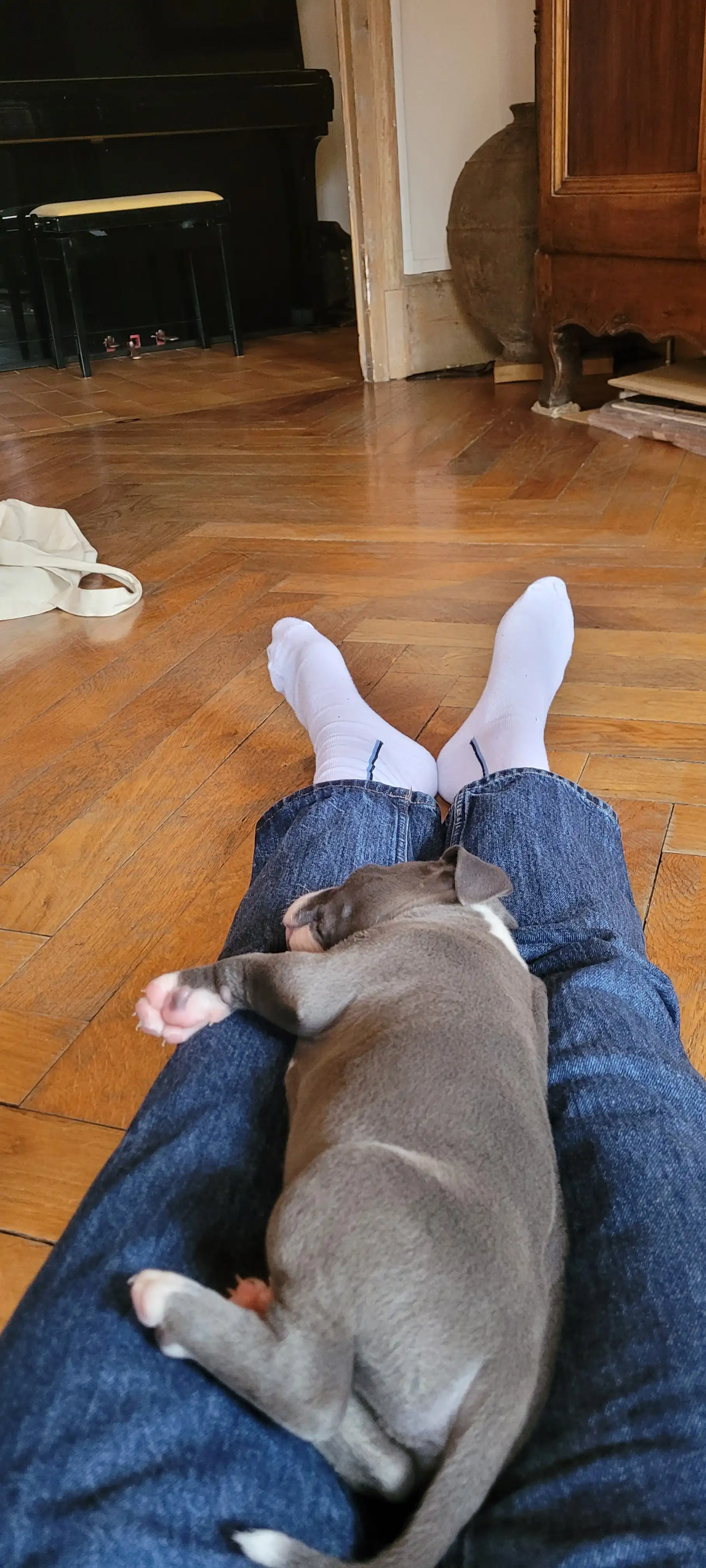 image-6