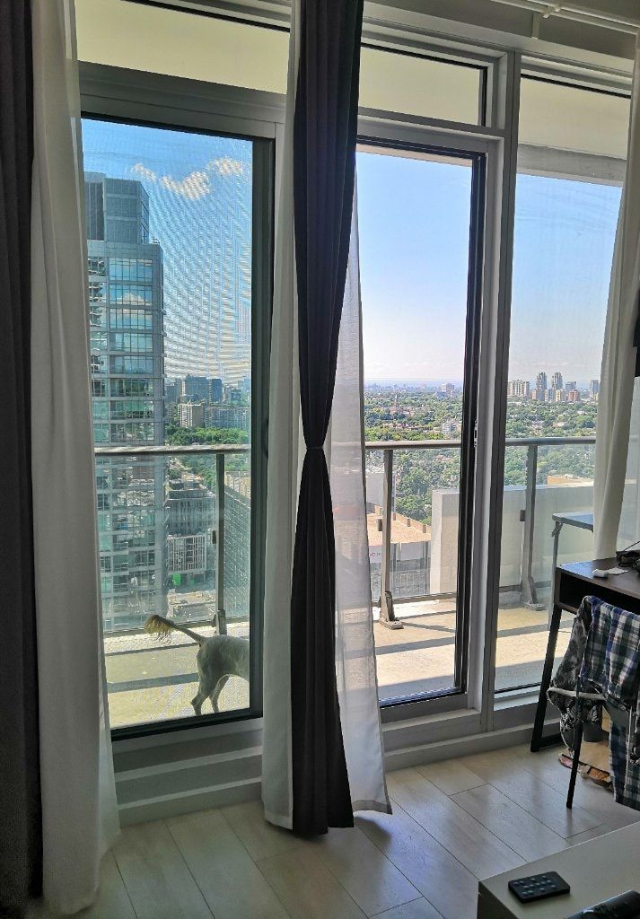image-18
