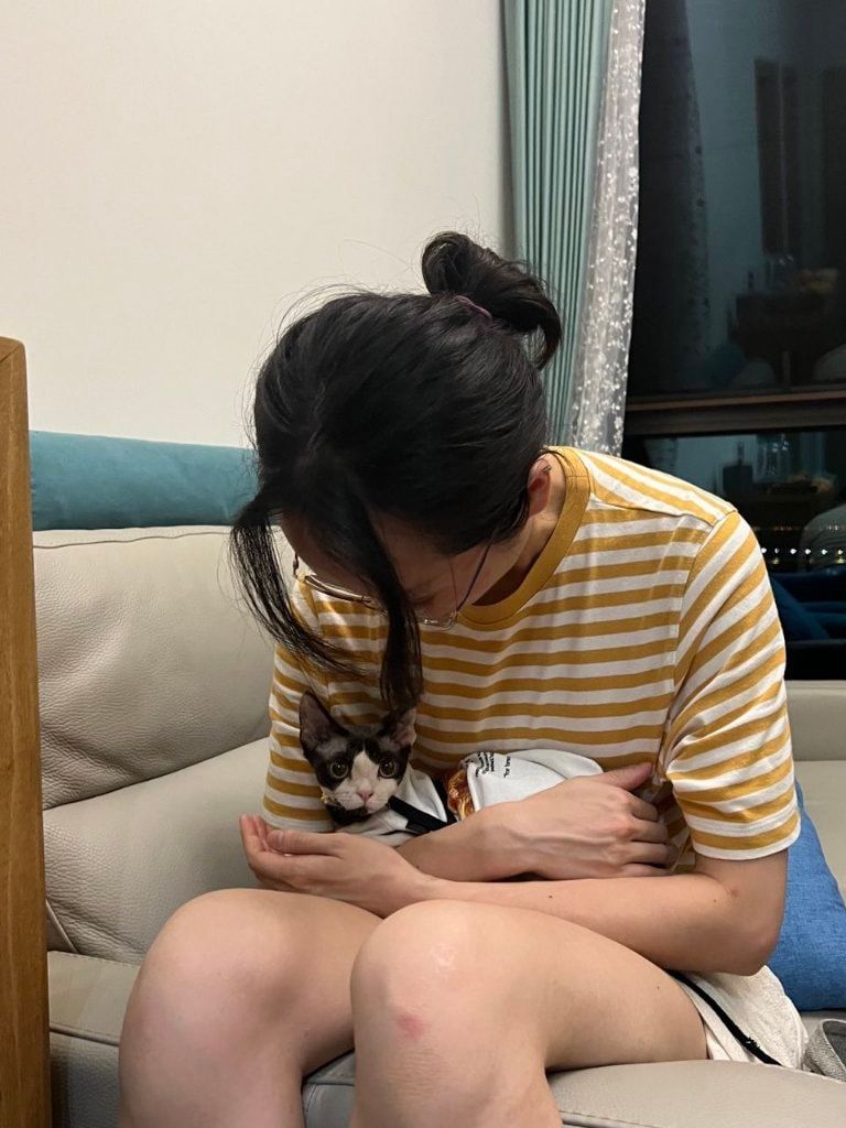 image-6