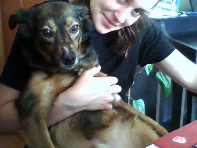 image-5