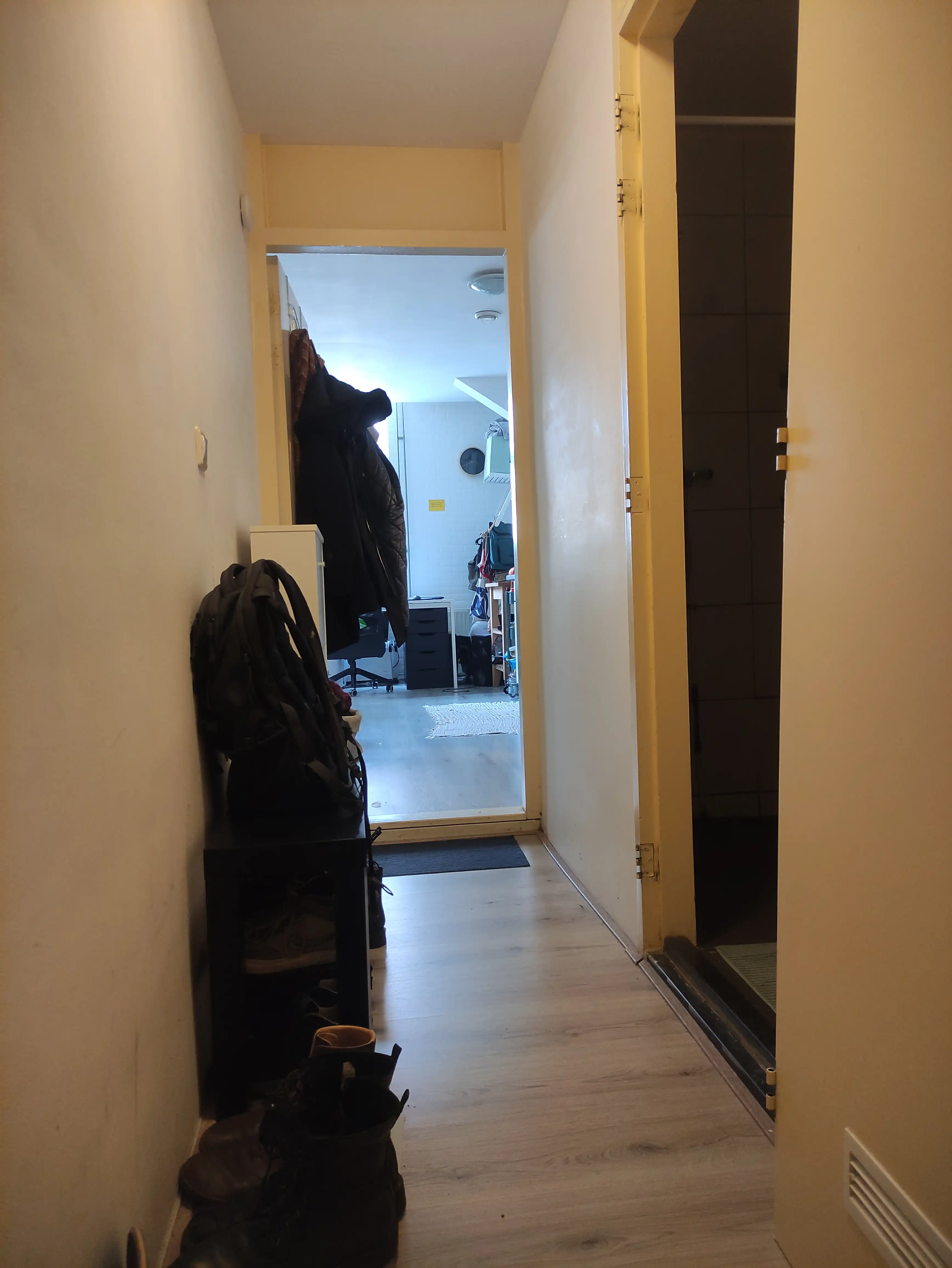image-15