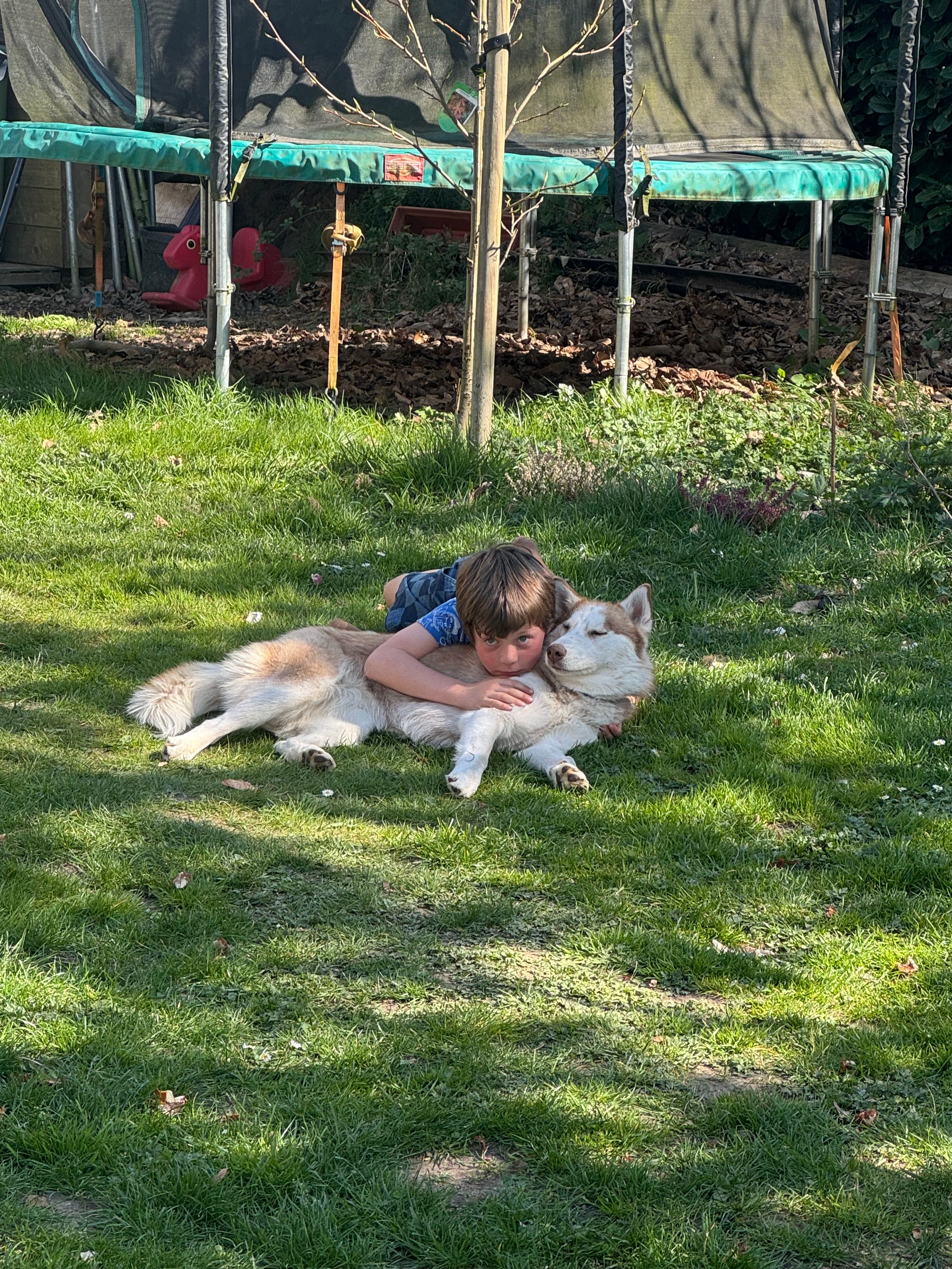 image-3