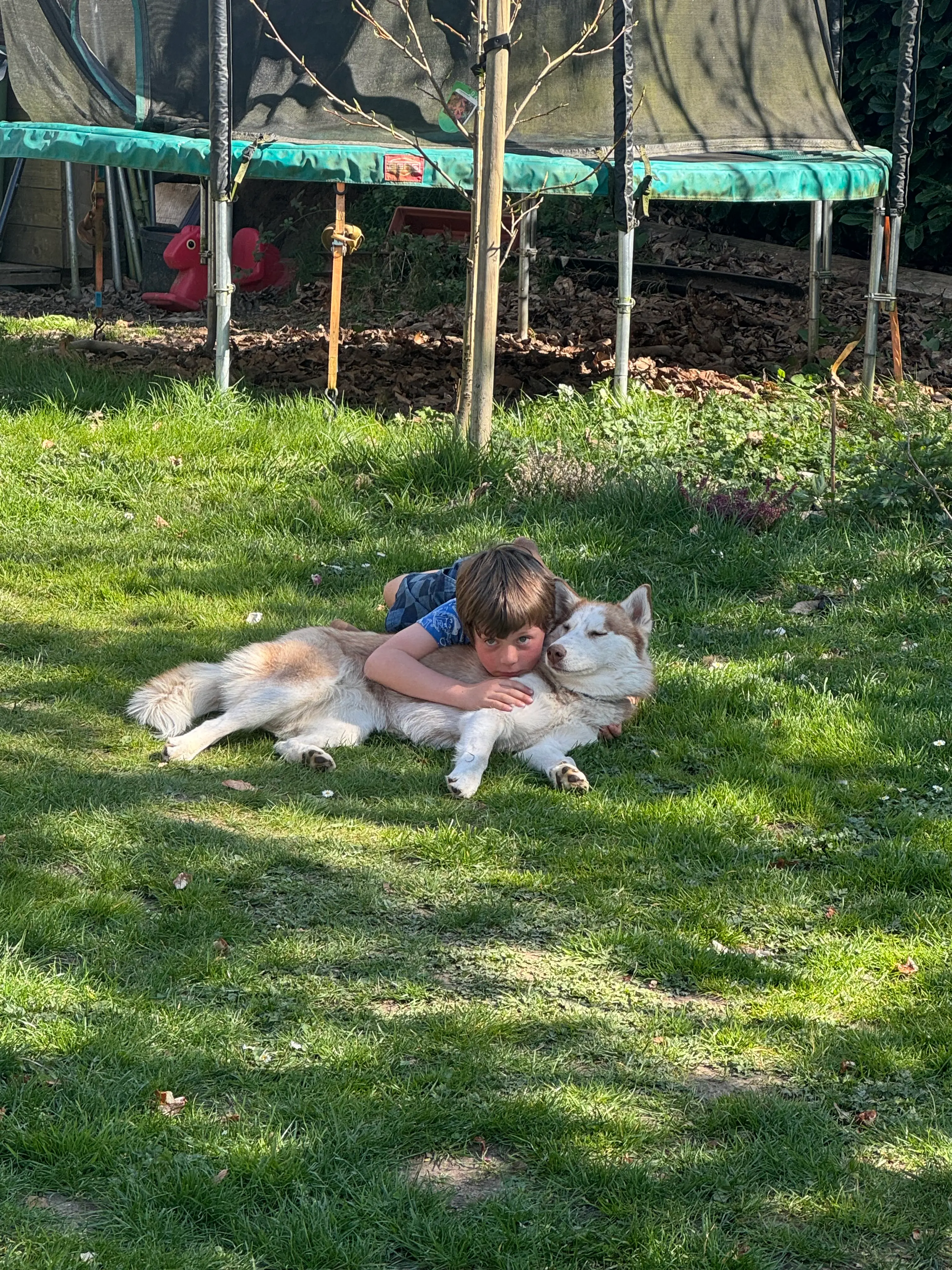 image-3