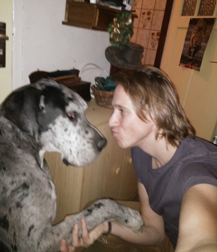 image-15