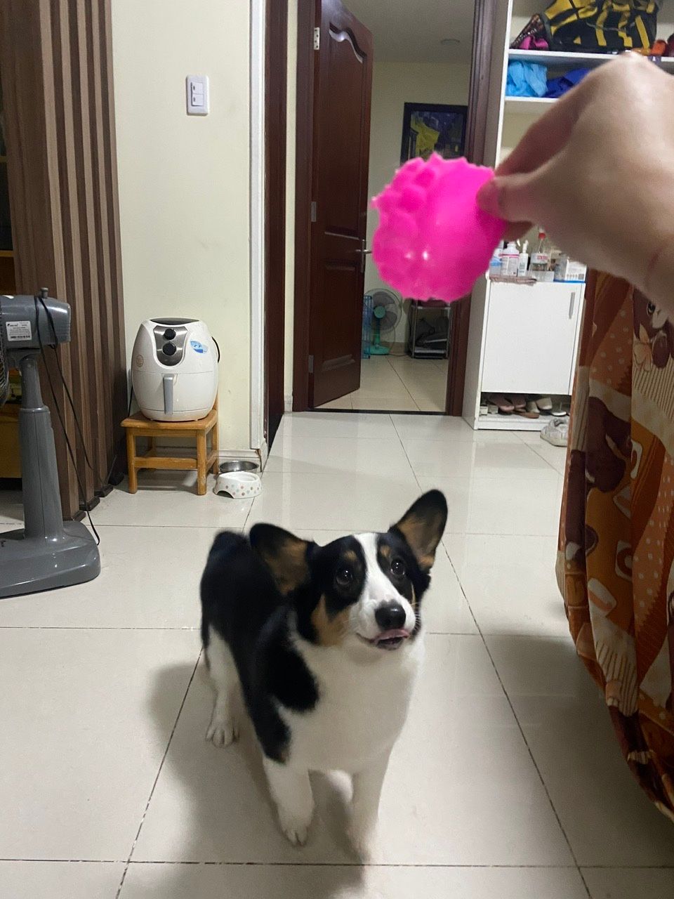 image-10