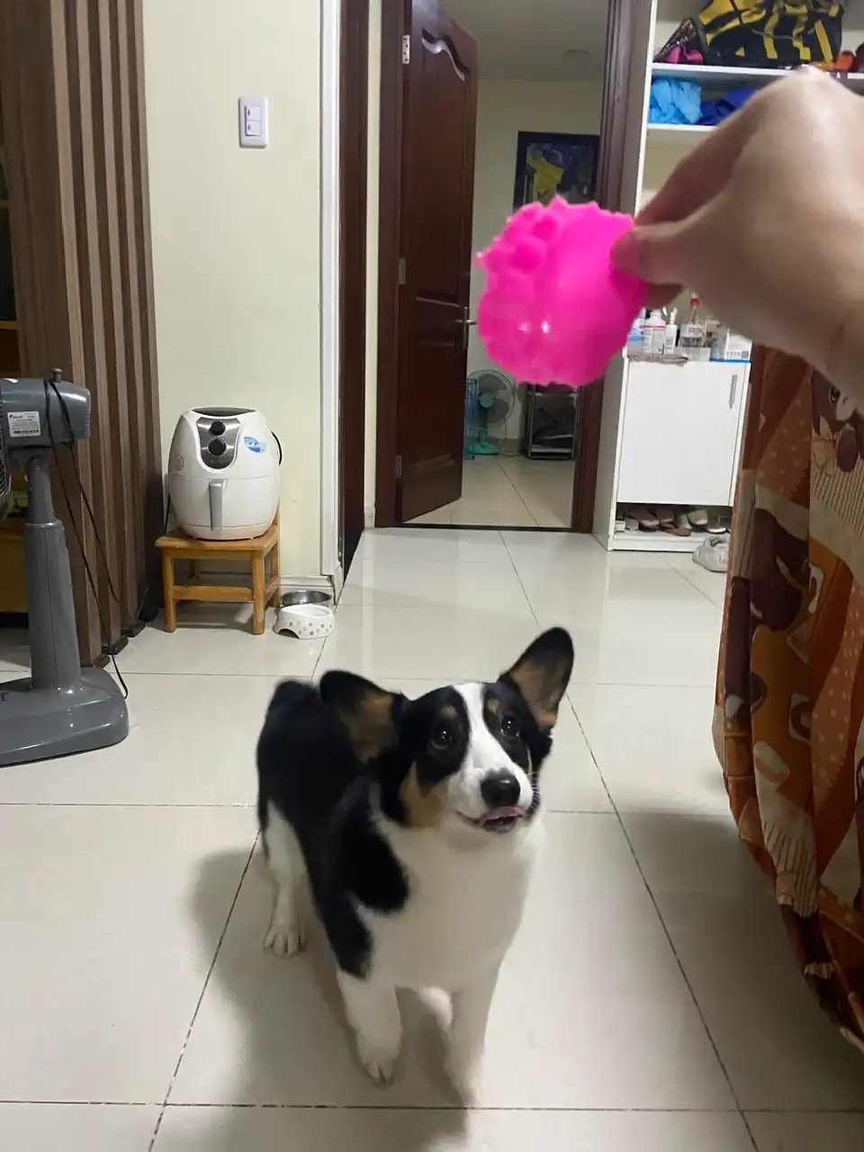 image-10