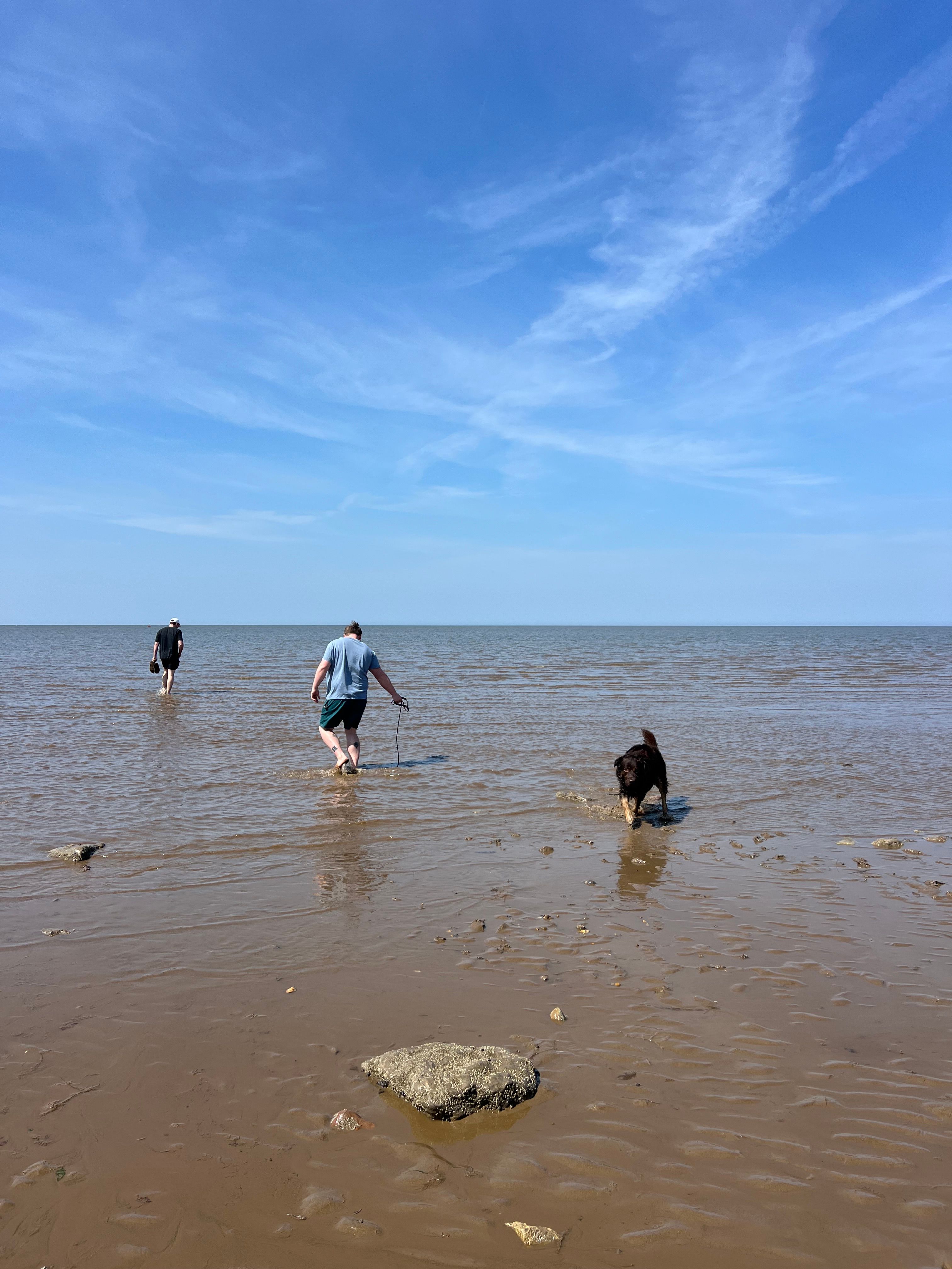 image-11