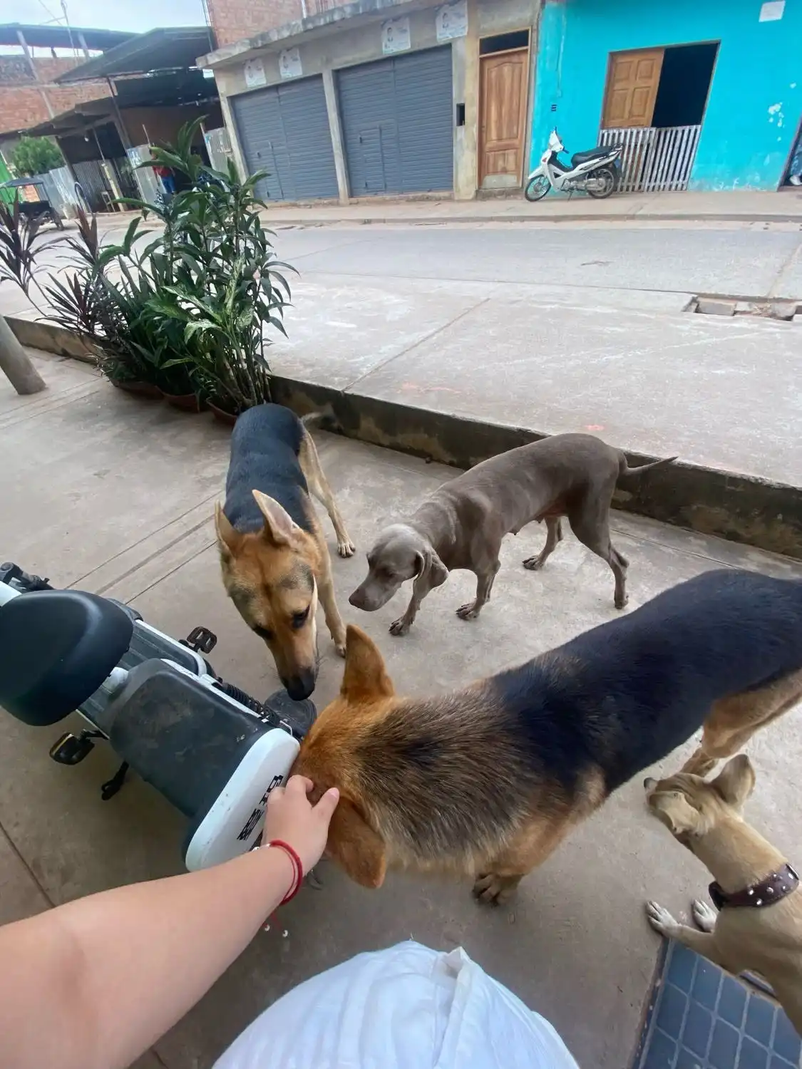 image-7