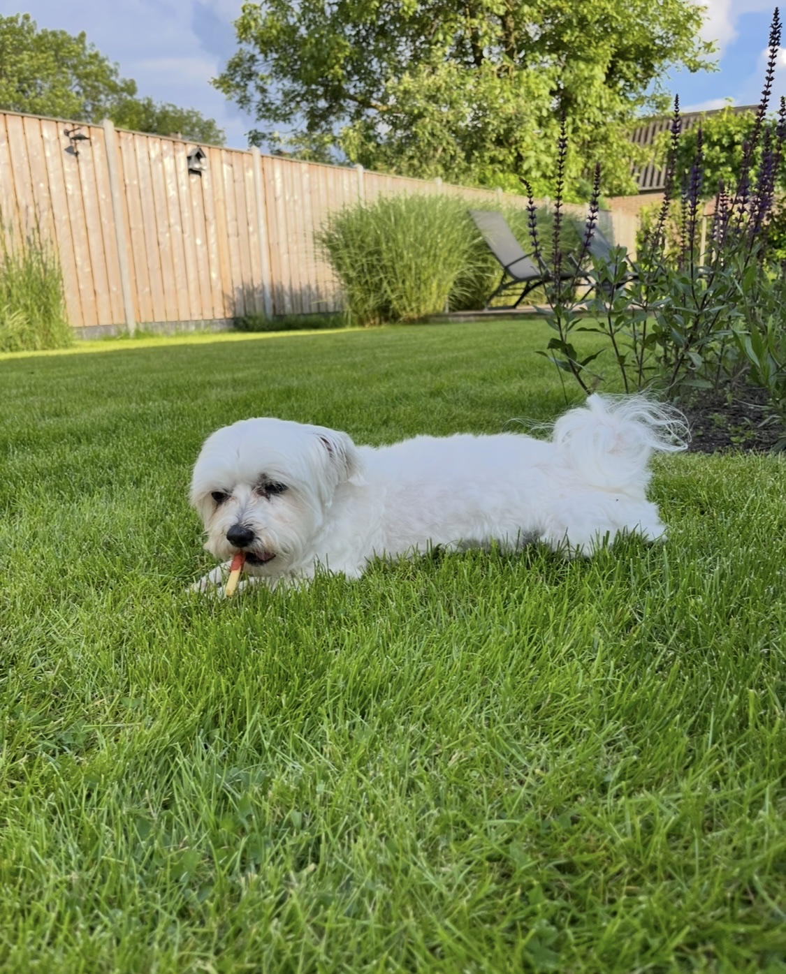 image-7