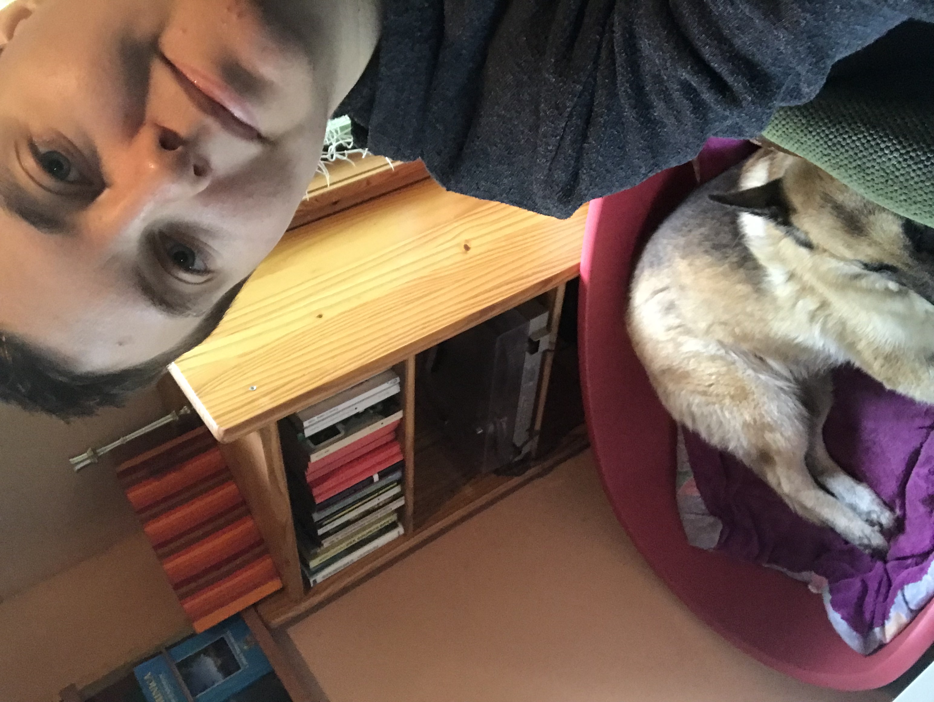 image-7