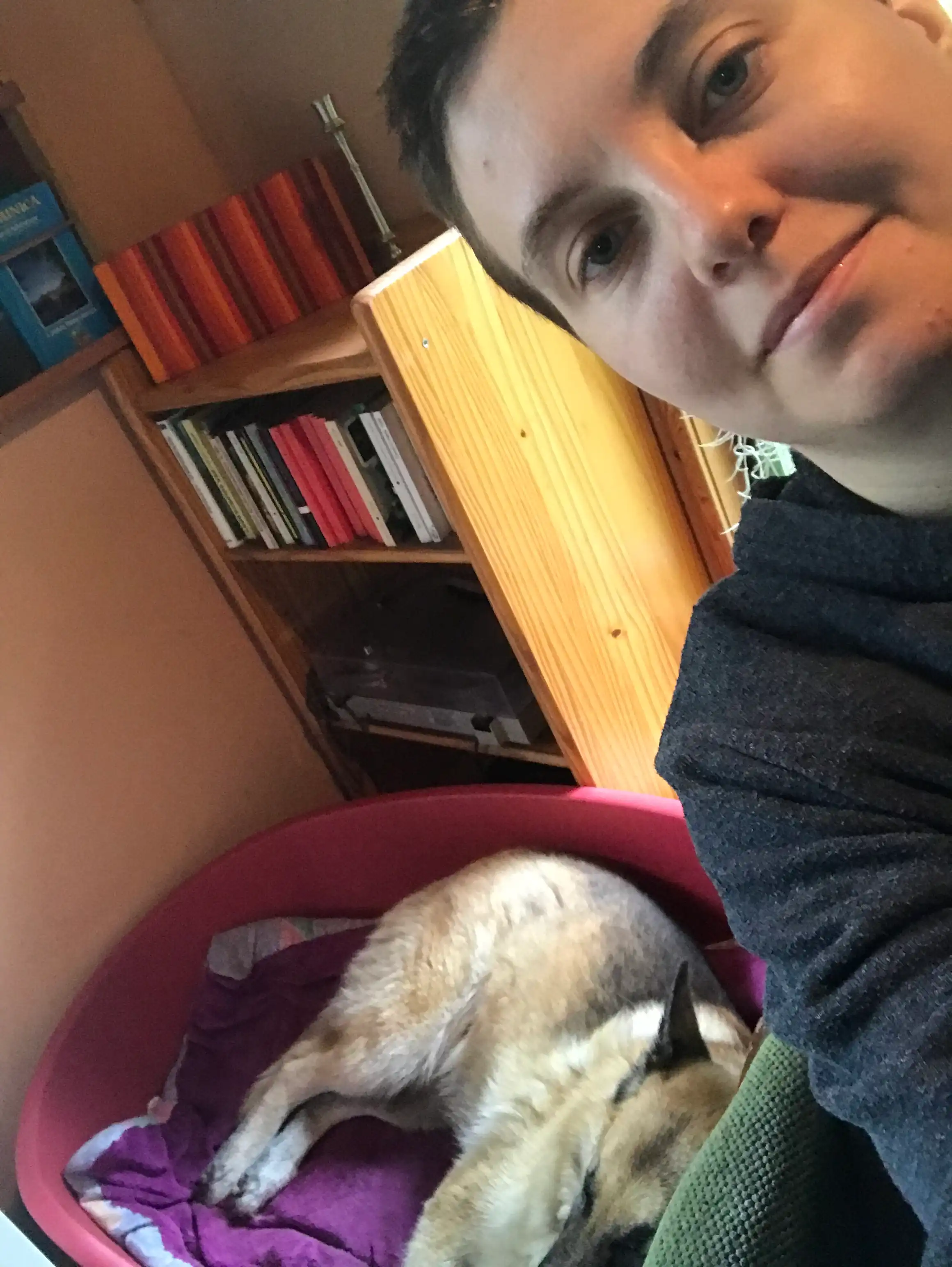 image-7