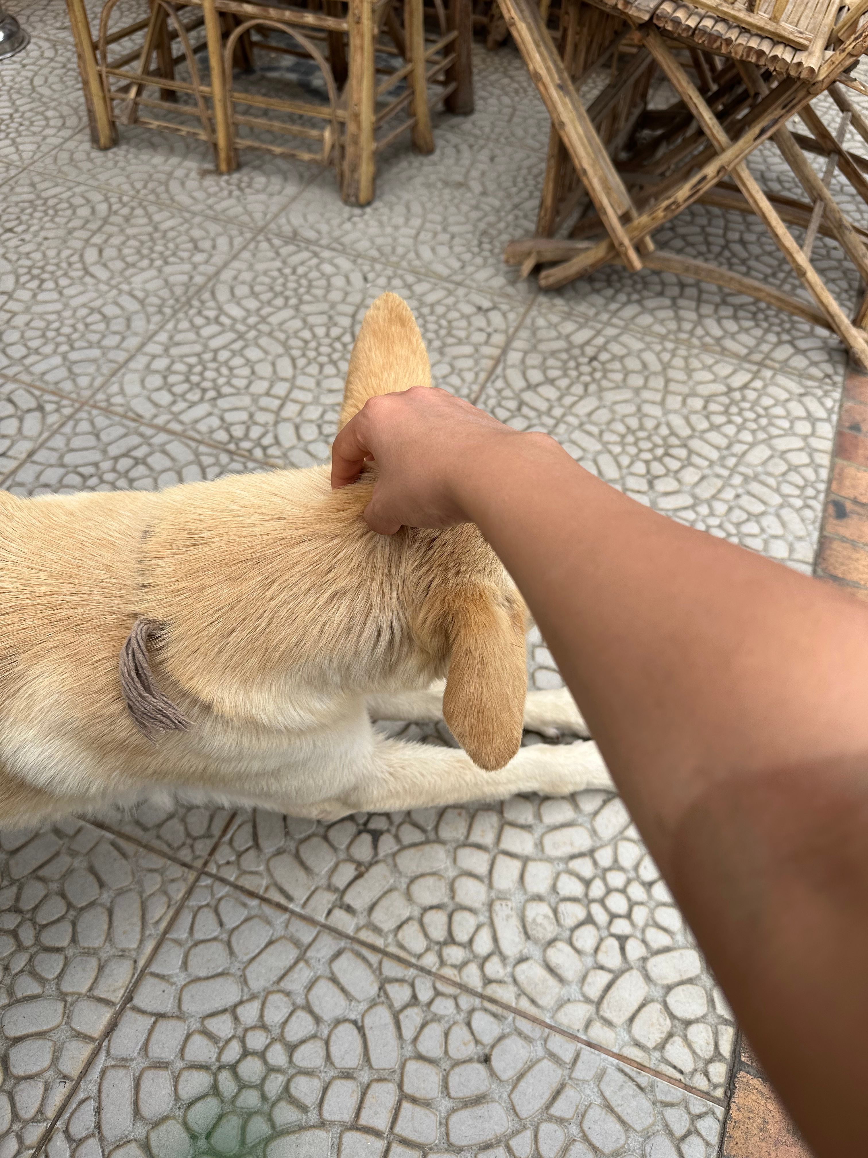 image-9