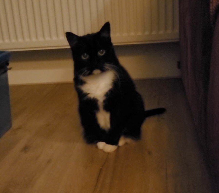 image-28