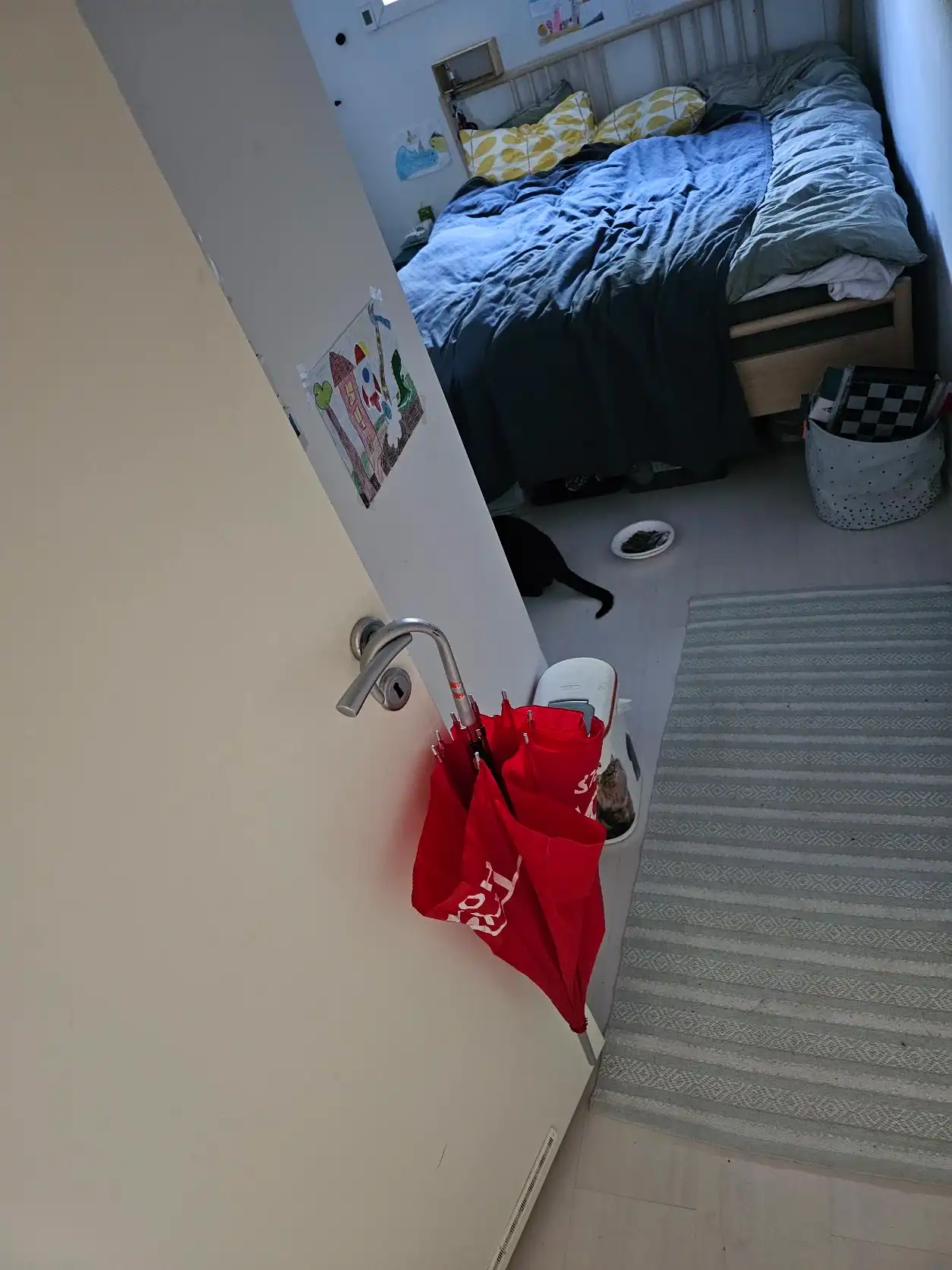 image-8