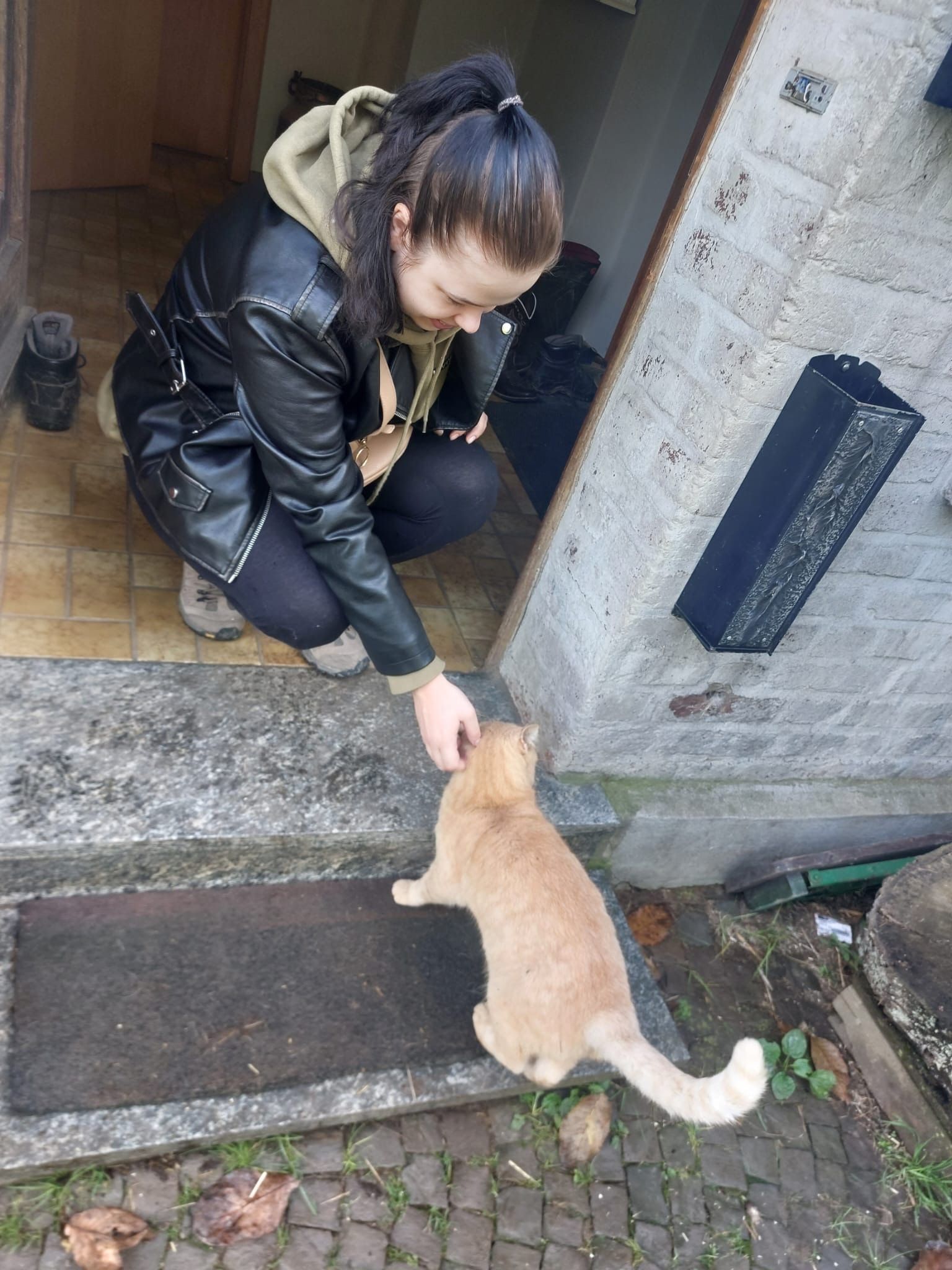 image-8