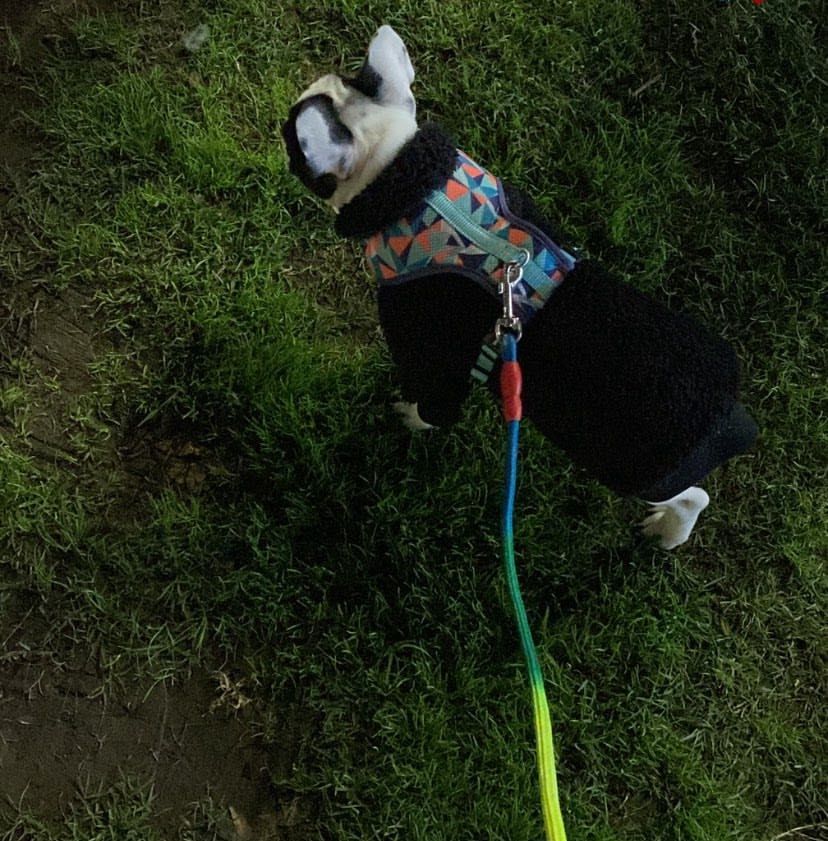 image-8
