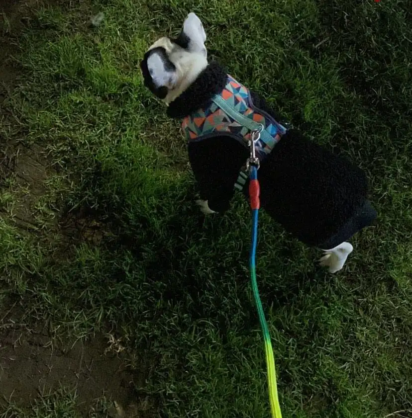 image-8
