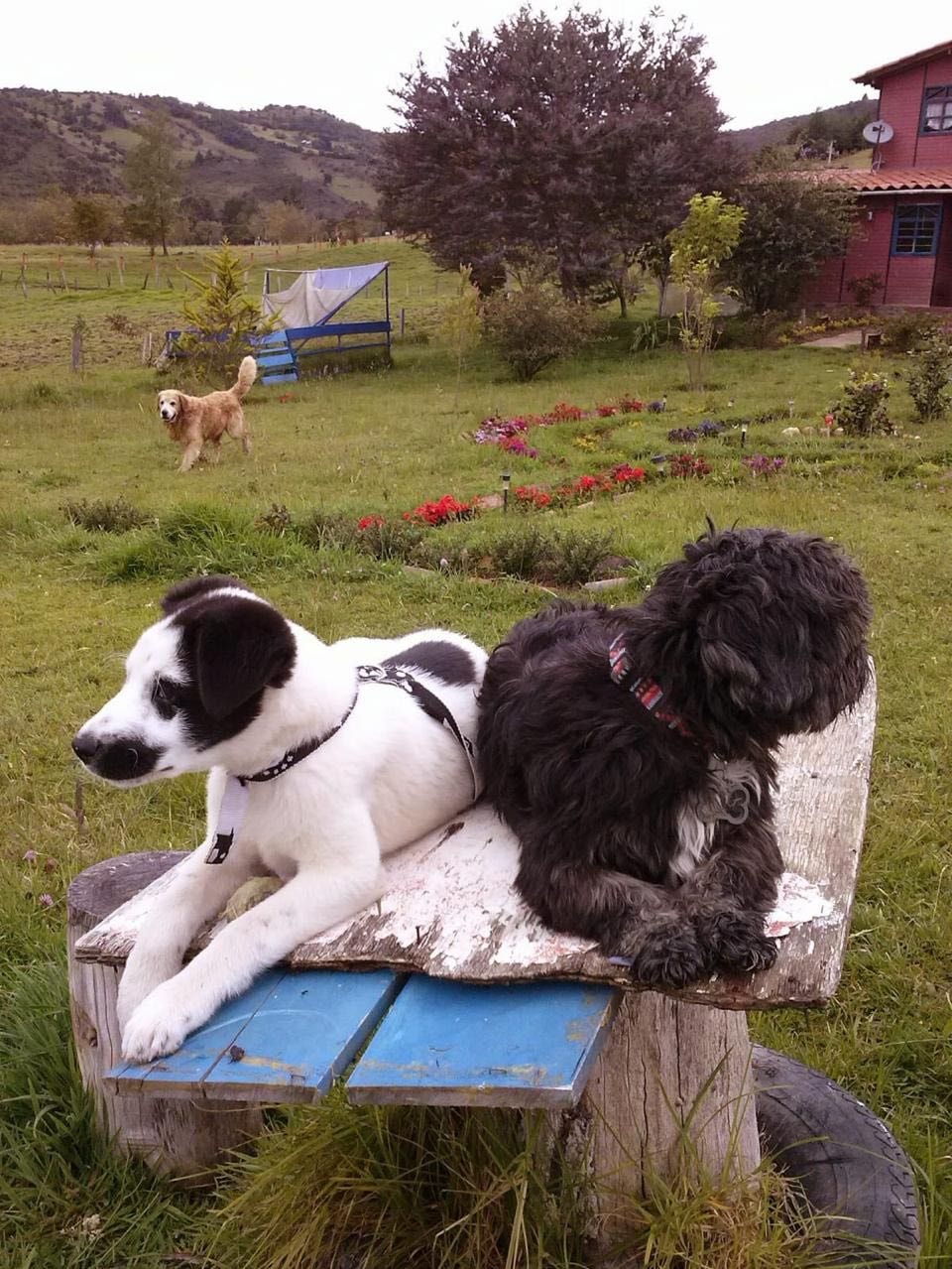 image-5