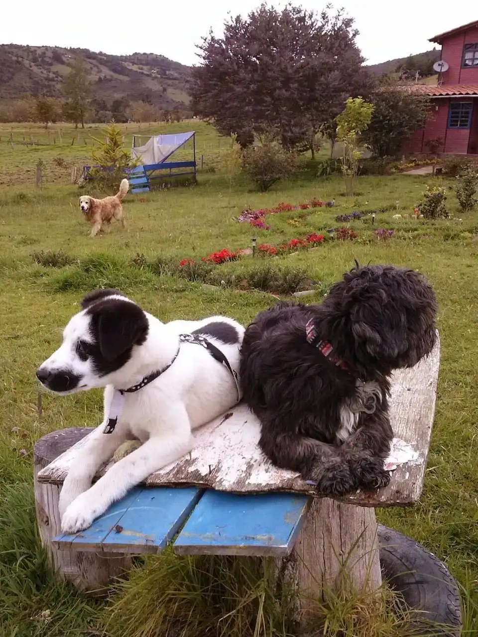 image-5
