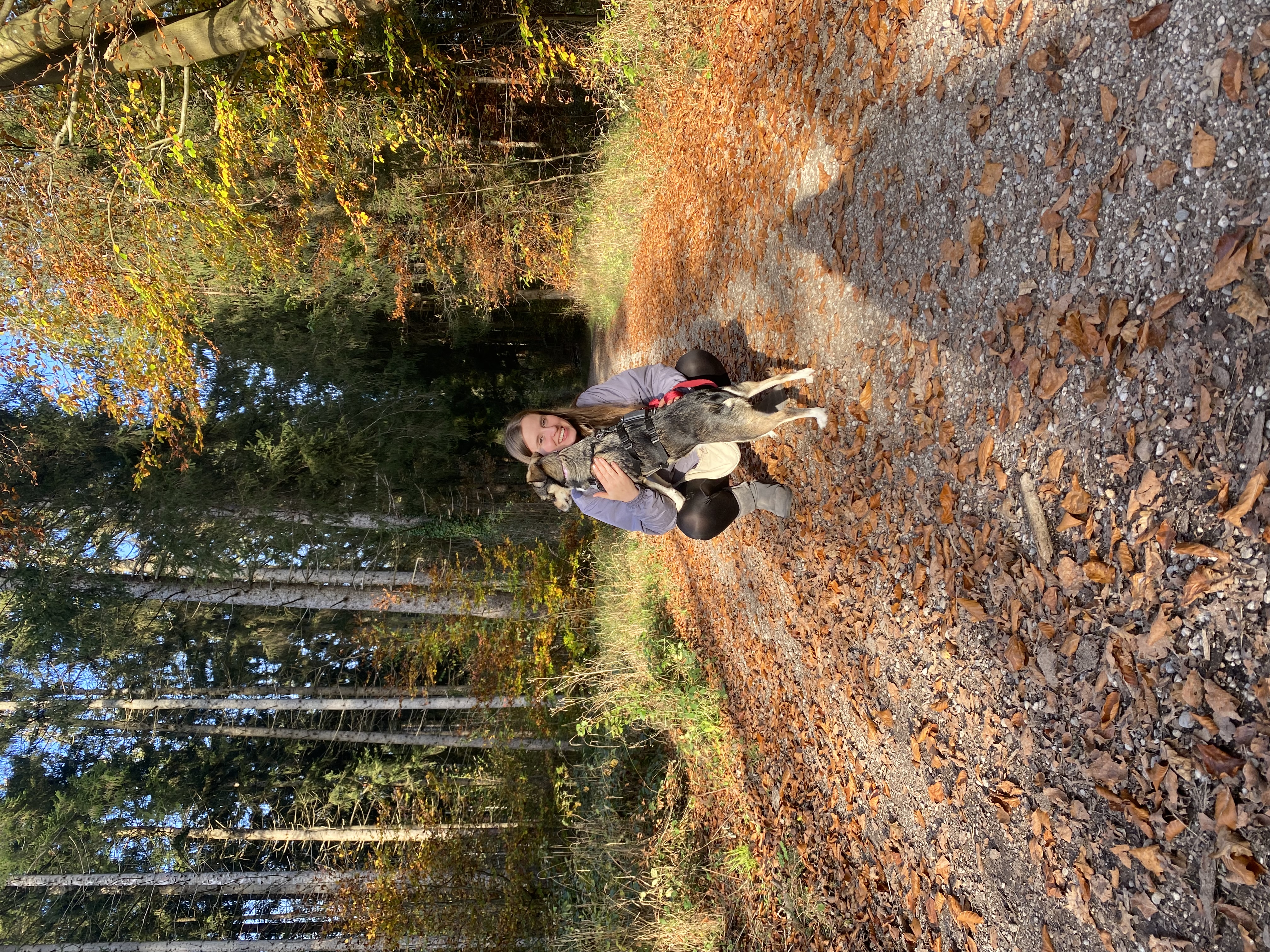 image-0
