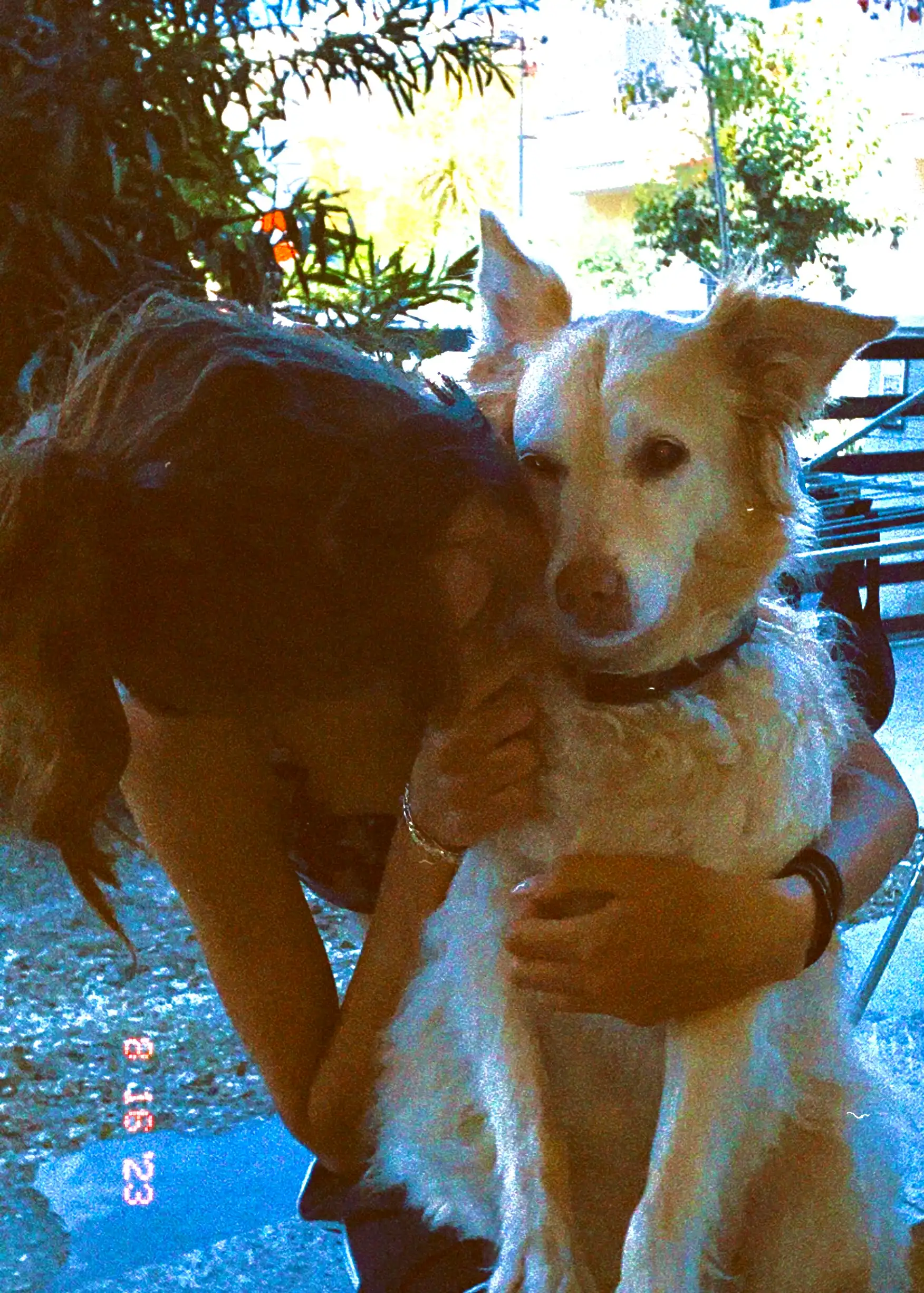 image-5