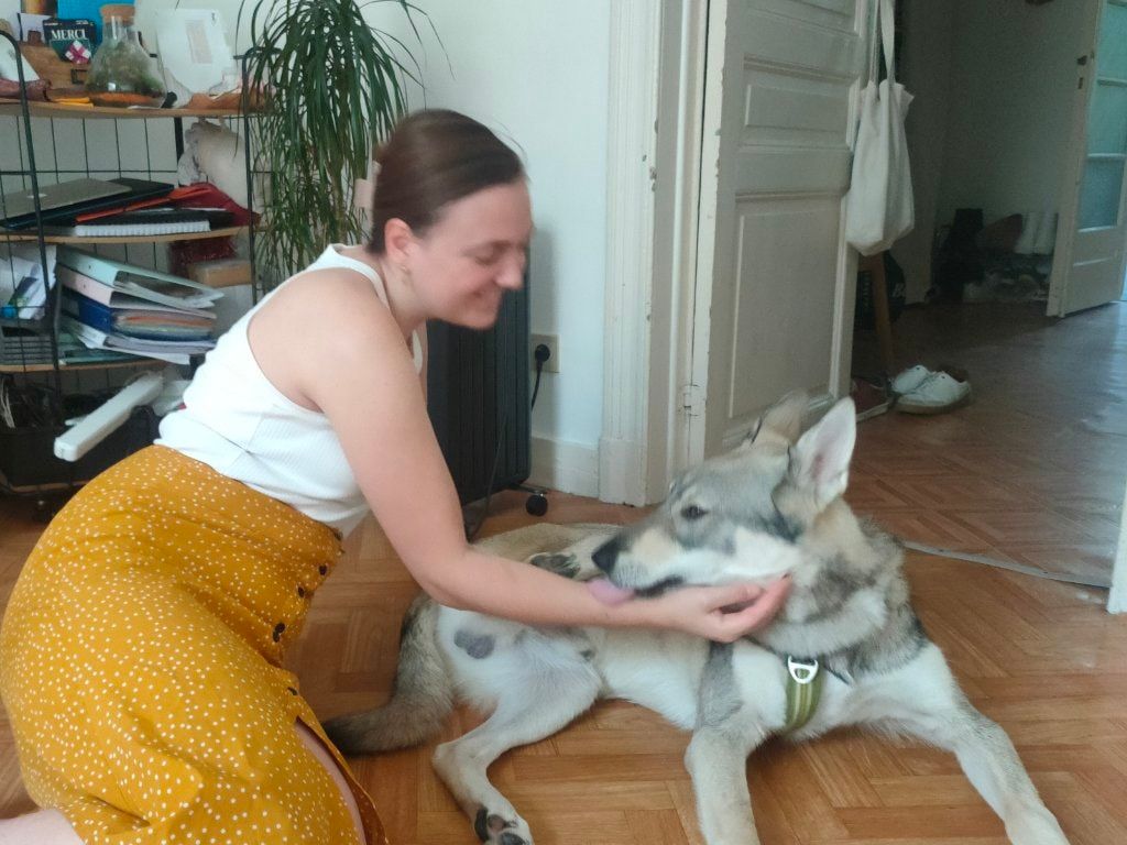 image-9