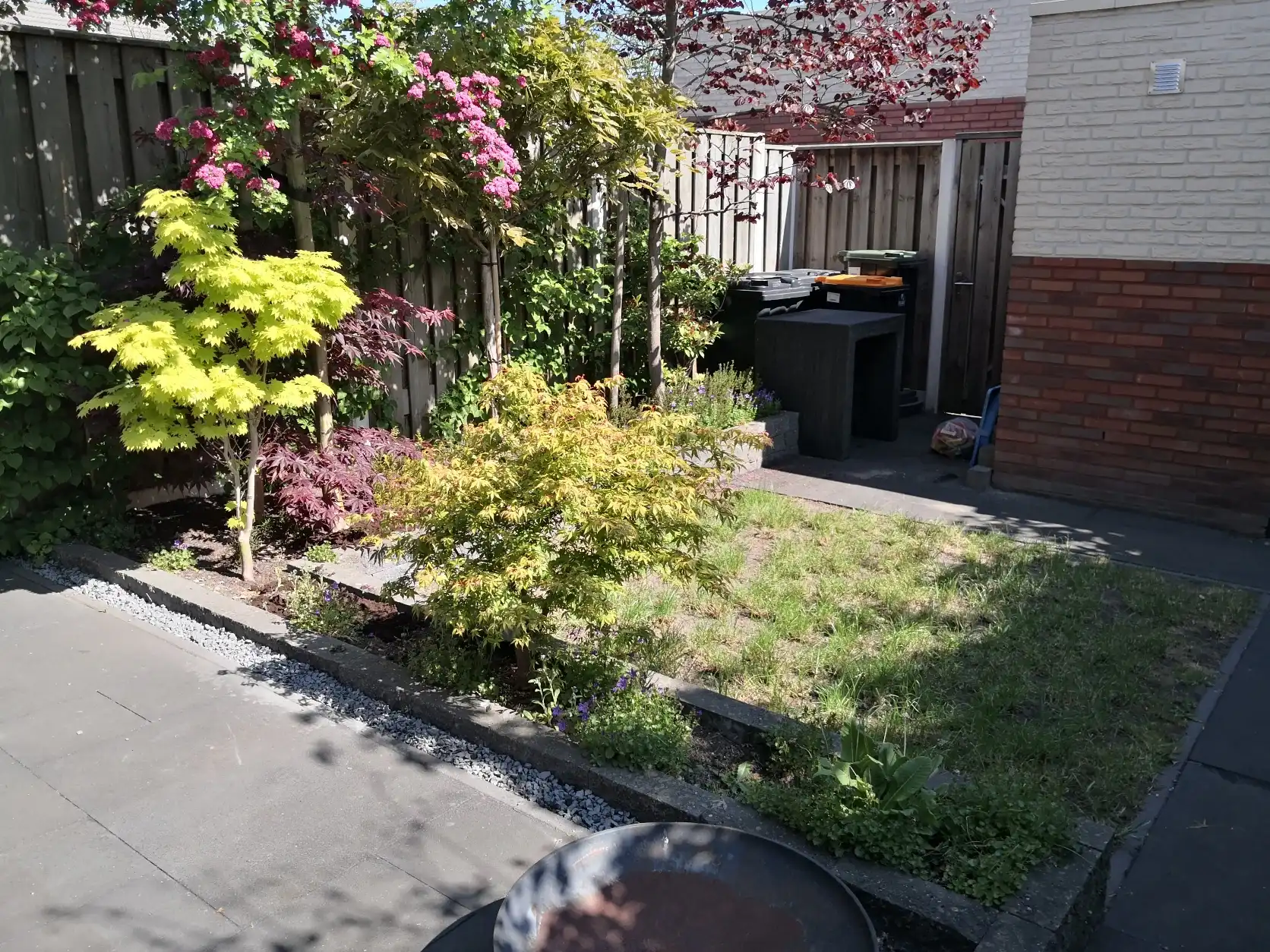 image-20