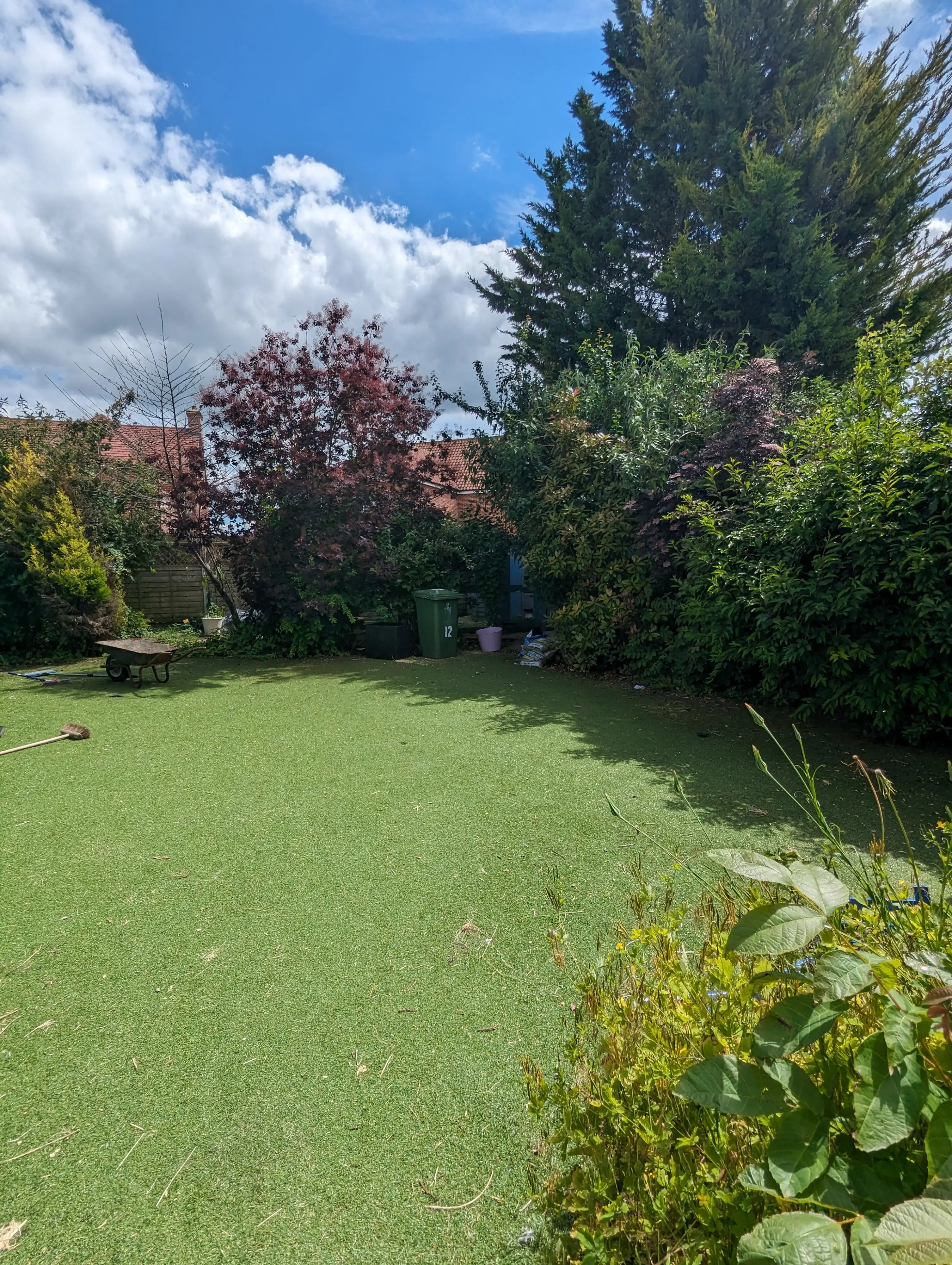 image-12