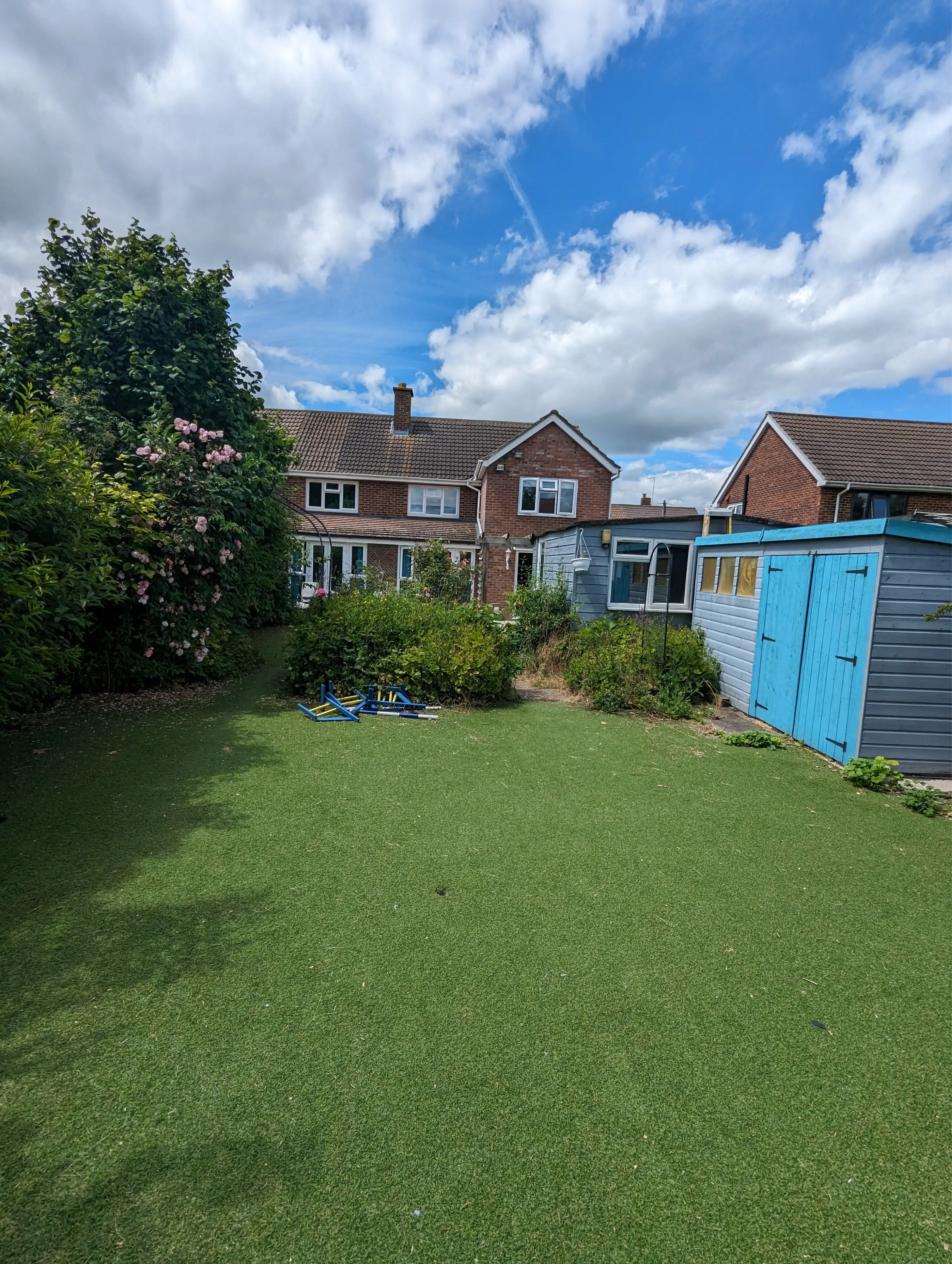 image-11