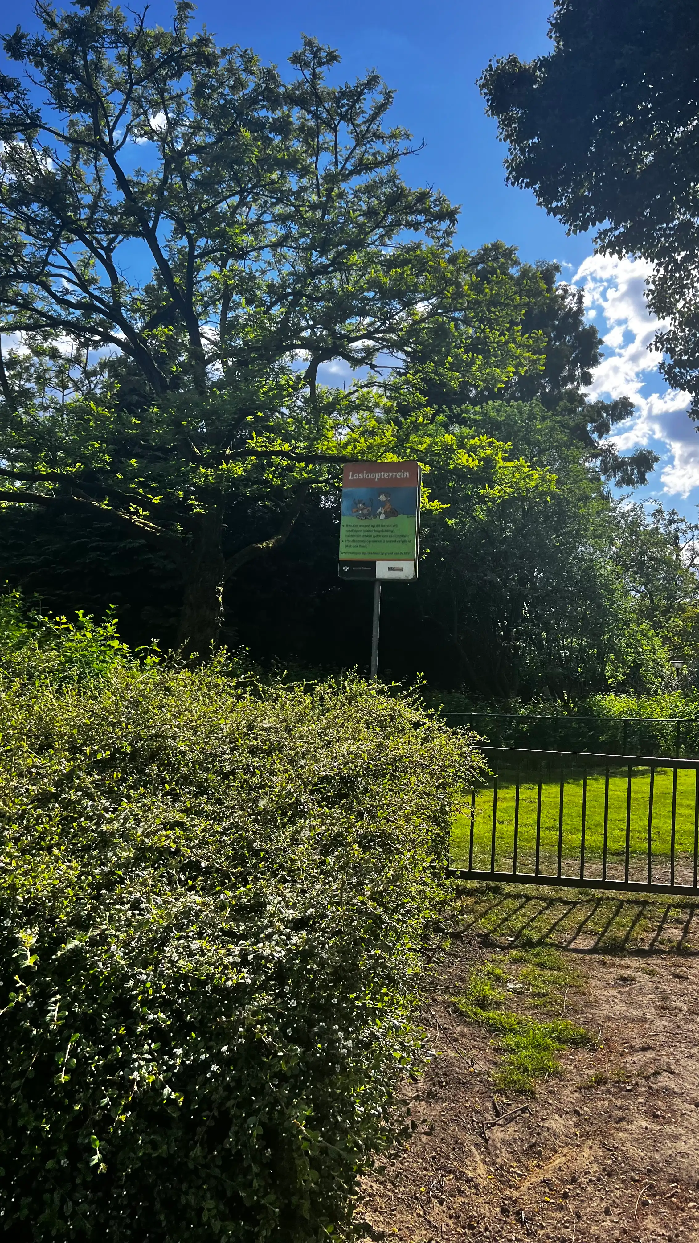 image-20