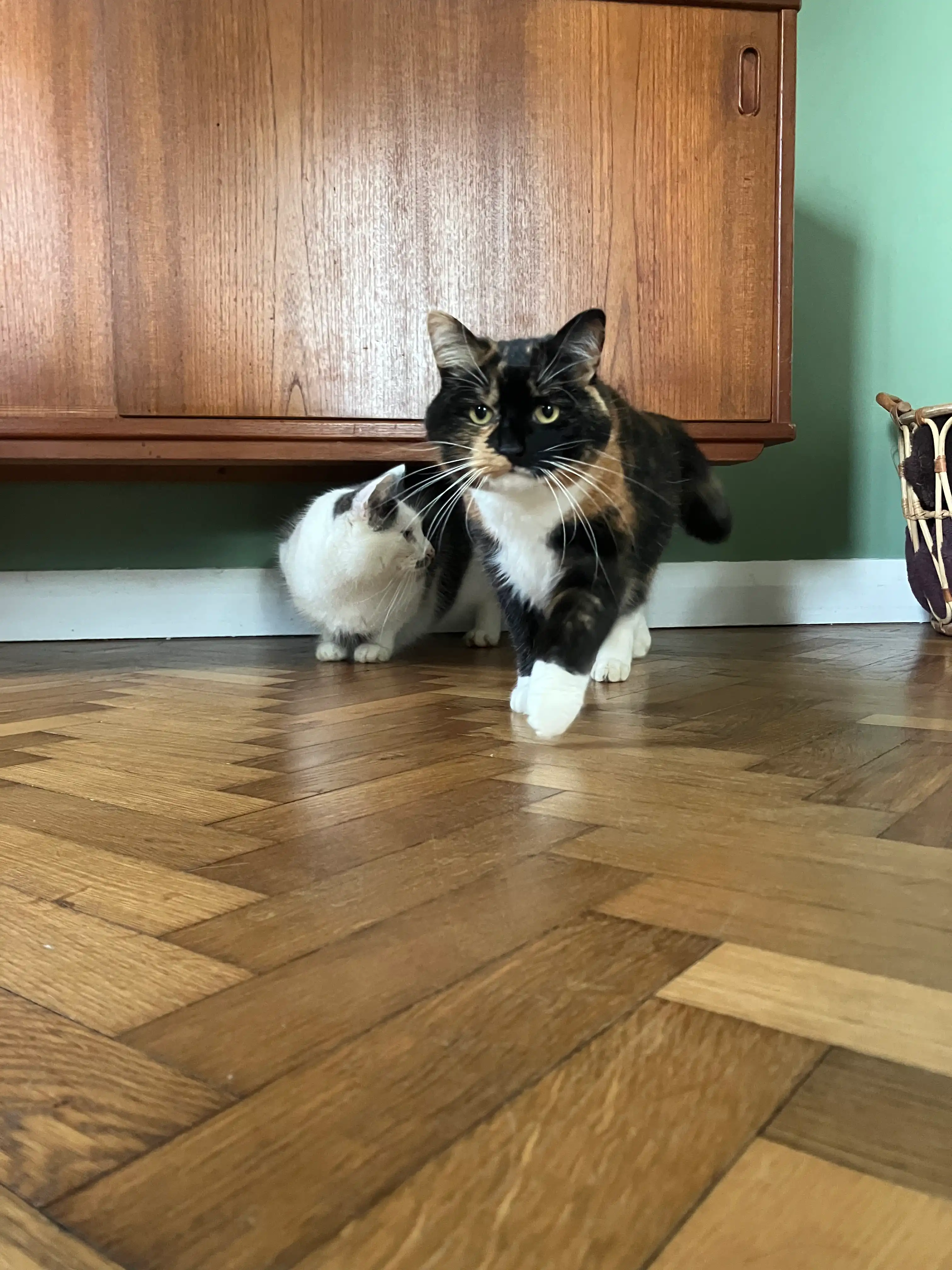 image-16